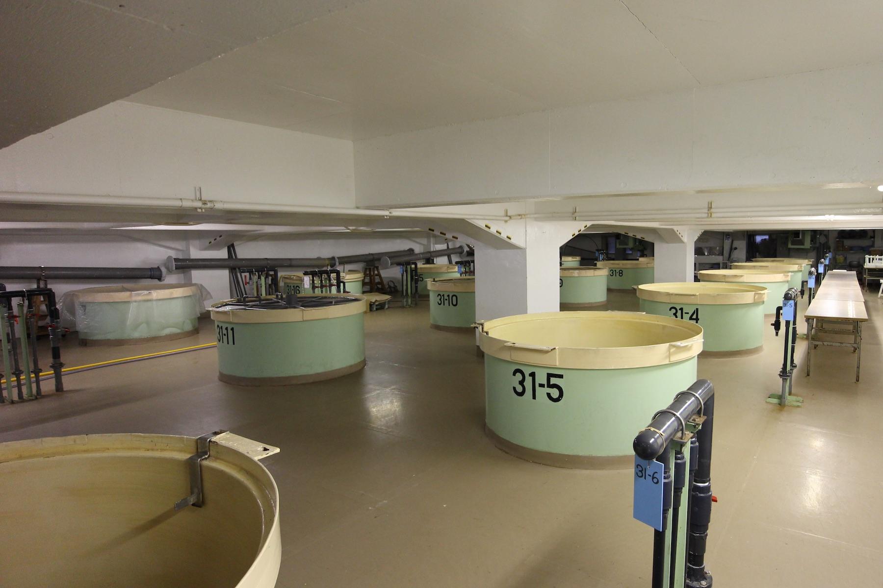 非公開の「本膳蔵」内部。工場で大量生産されているのかと思えば、手づくりだったのには驚き。