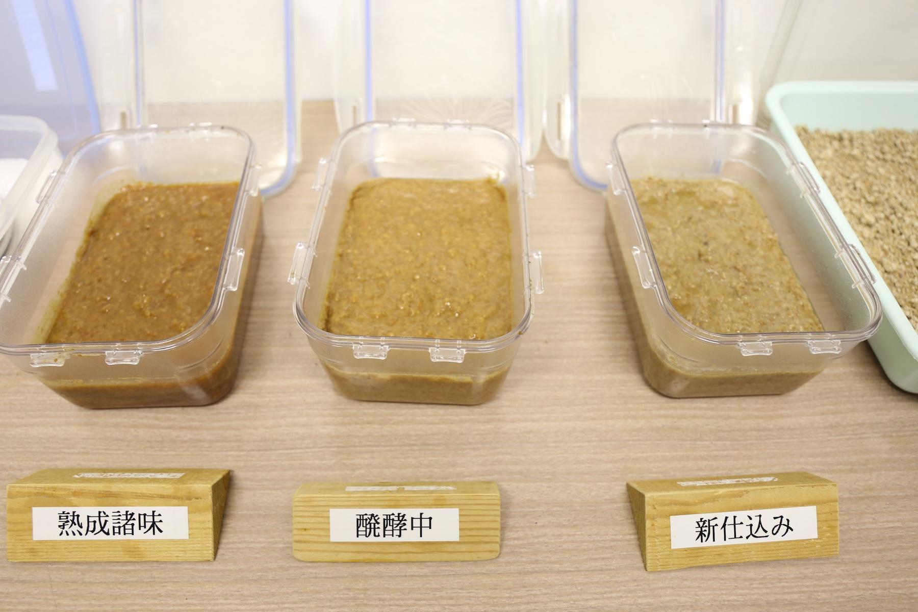 大豆や小麦に加えた麹菌が十分に生育した頃合いで塩水を加え、醪となったものが新仕込み。微生物発酵が進み、熟成諸味となったものを搾って生揚げ醤油ができ上がる。火入れをして、発酵をとめれば醤油の完成だ。