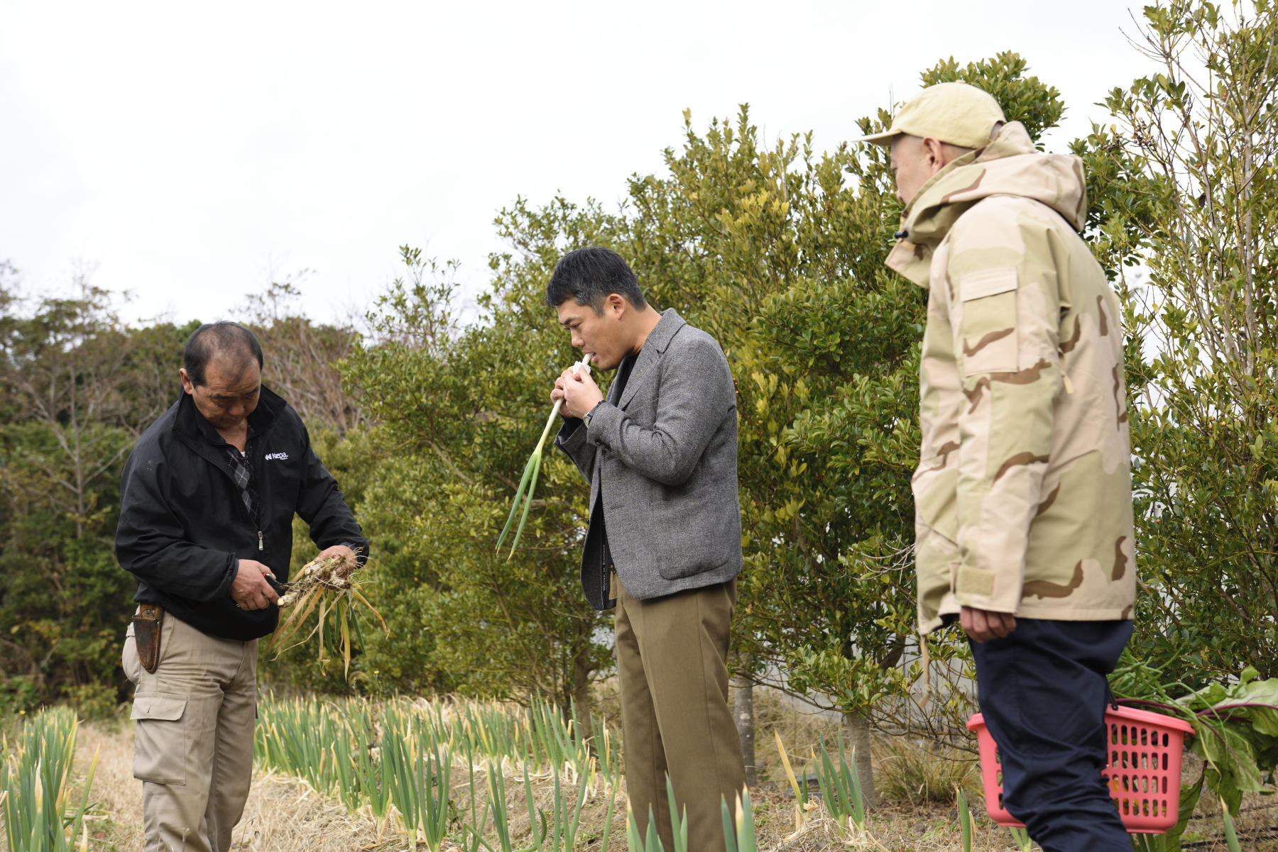 その場で野菜を口にする料理人たち。