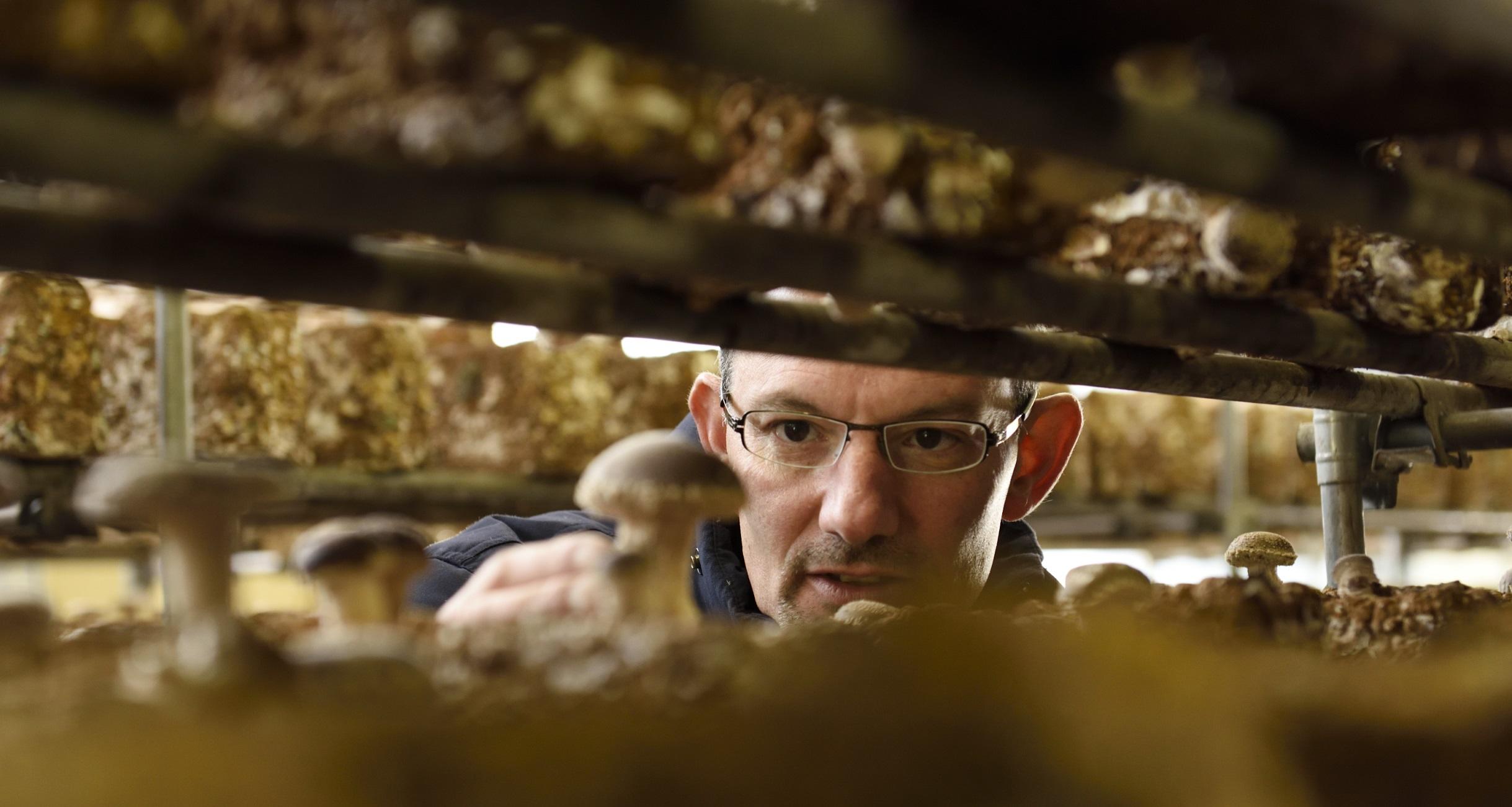 小さな食材王国、八丈島がシェフを驚かせる 
