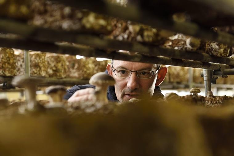 小さな食材王国、八丈島がシェフを驚かせる
