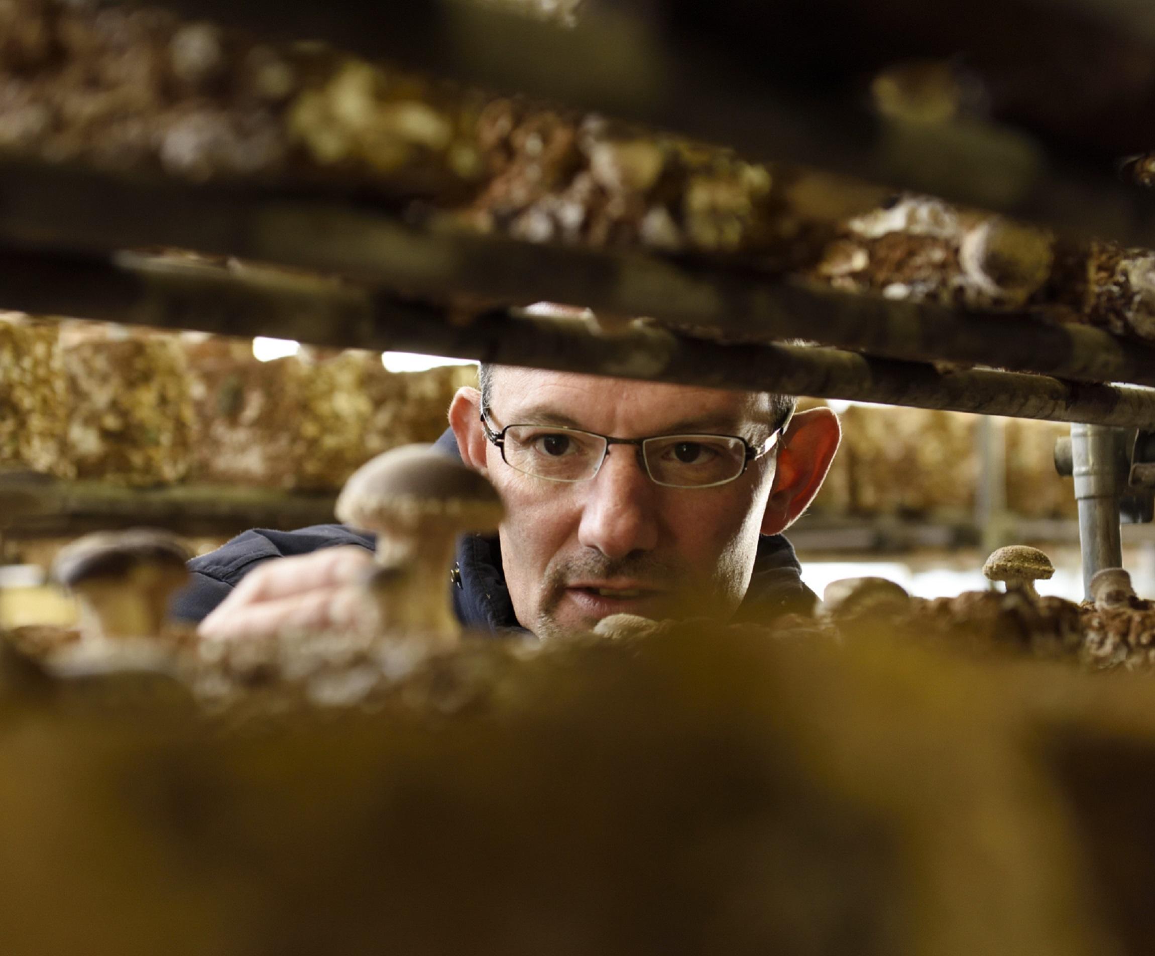 小さな食材王国、八丈島がシェフを驚かせる 