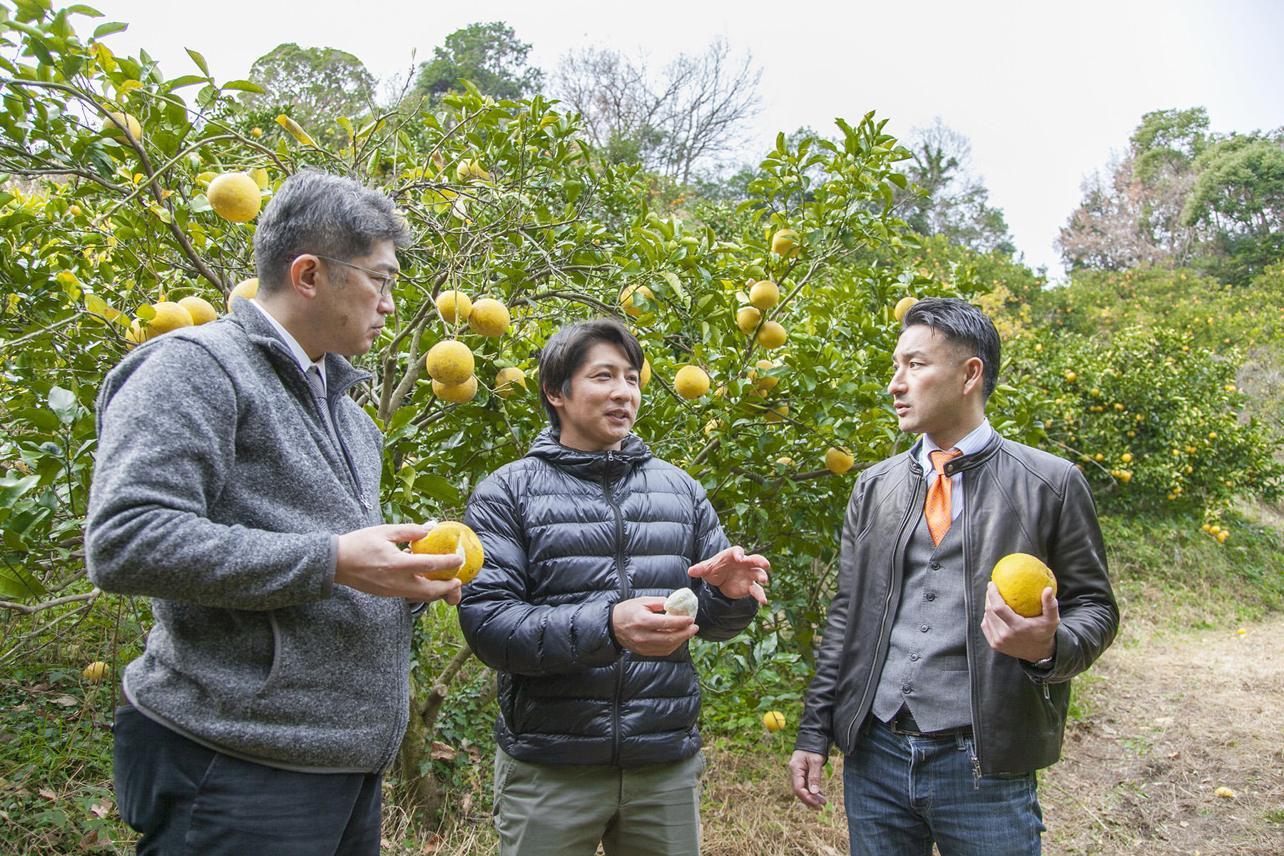 自身の畑を案内する大久保さん。