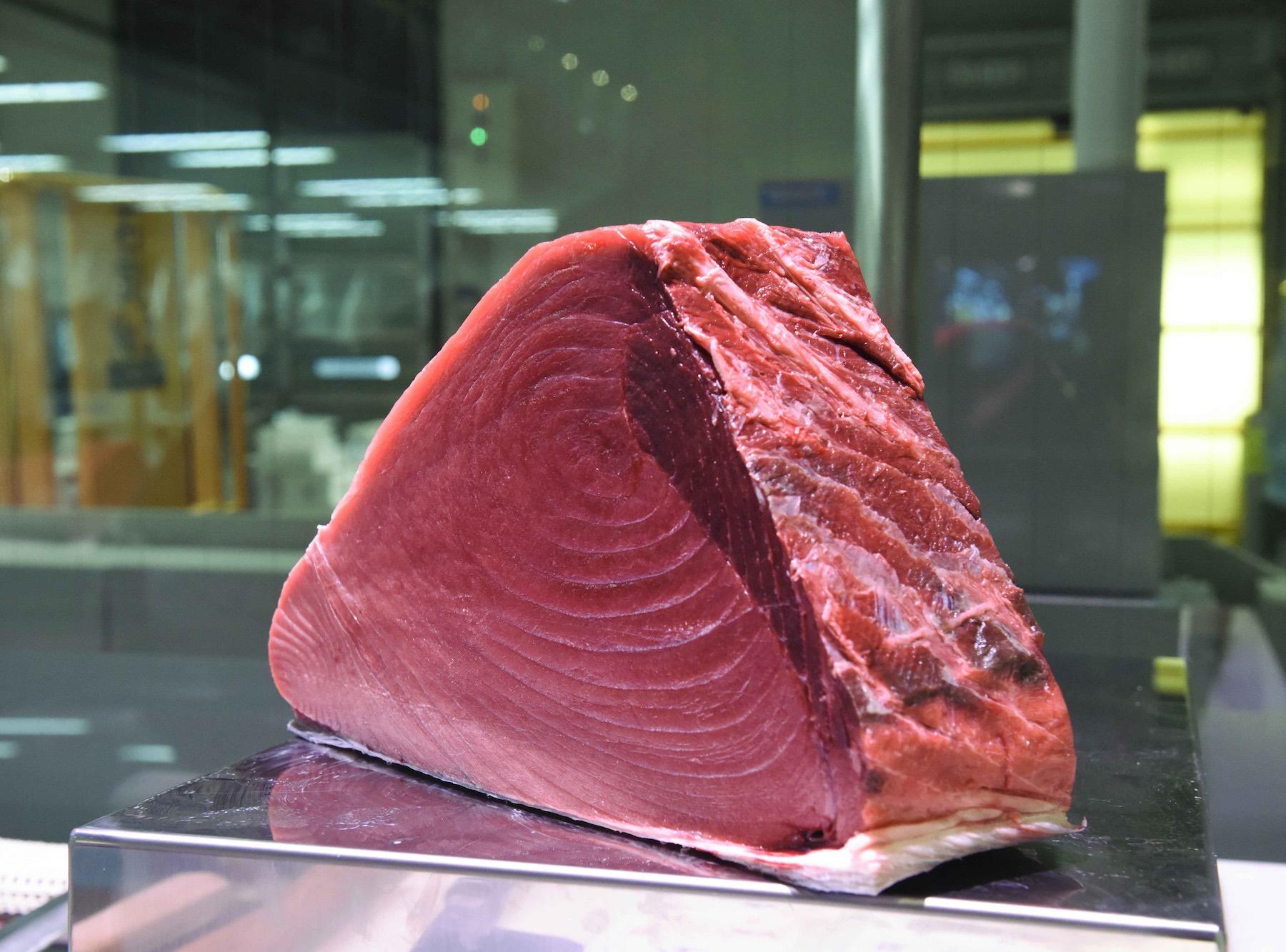 ひと口にマグロと言っても、トロと赤身が別物であるように、部位によって味わいも見た目も値段も大きく異なる。