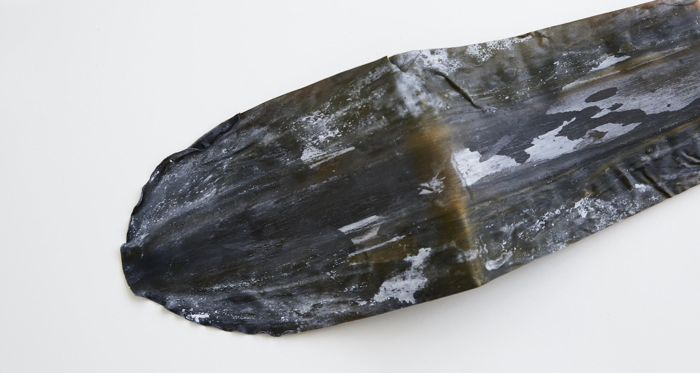 昆布はどこへ行く。