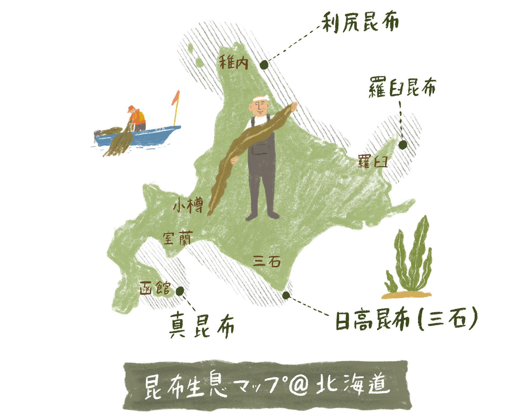 昆布生息マップ