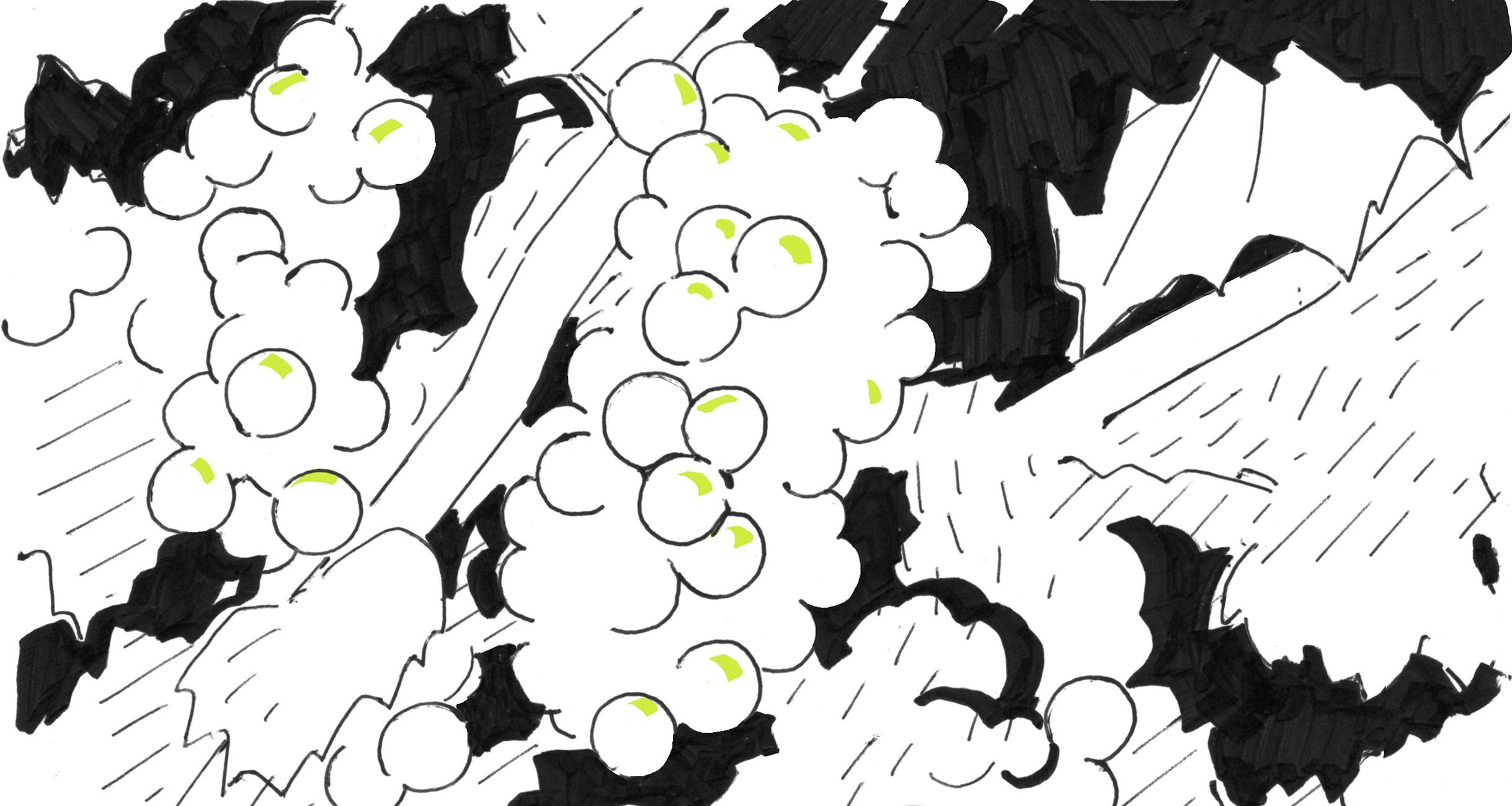 アルザス・ワイン街道をゆく。