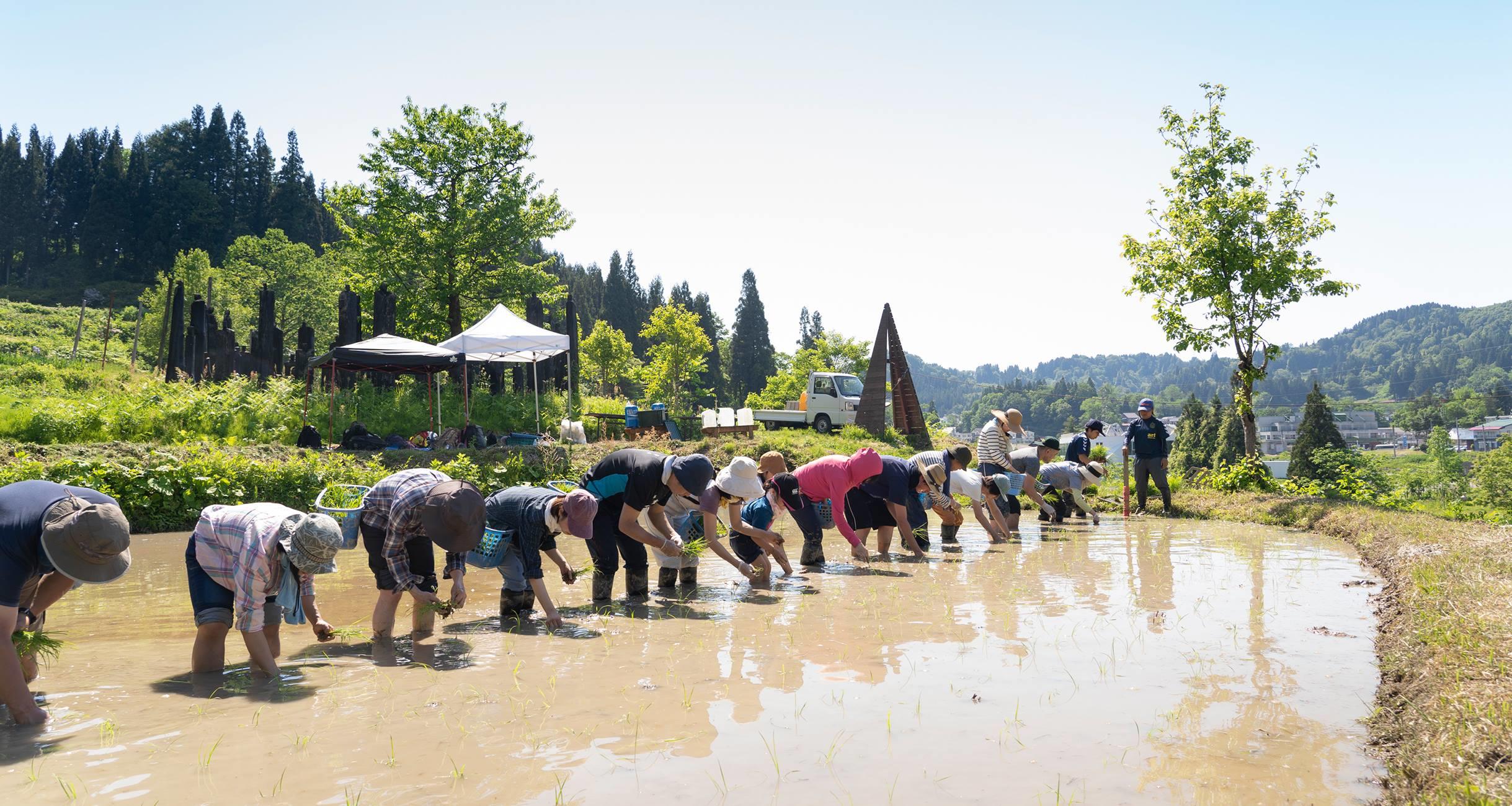 米をつくるということ。