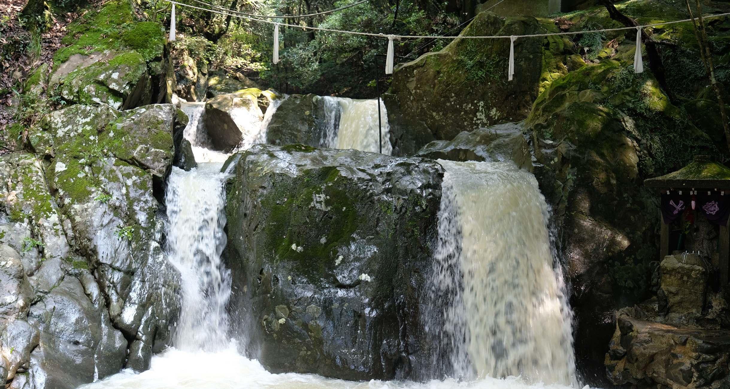 井賀孝さんの青春18きっぷ旅。台風上陸のまっただ中に里帰り。