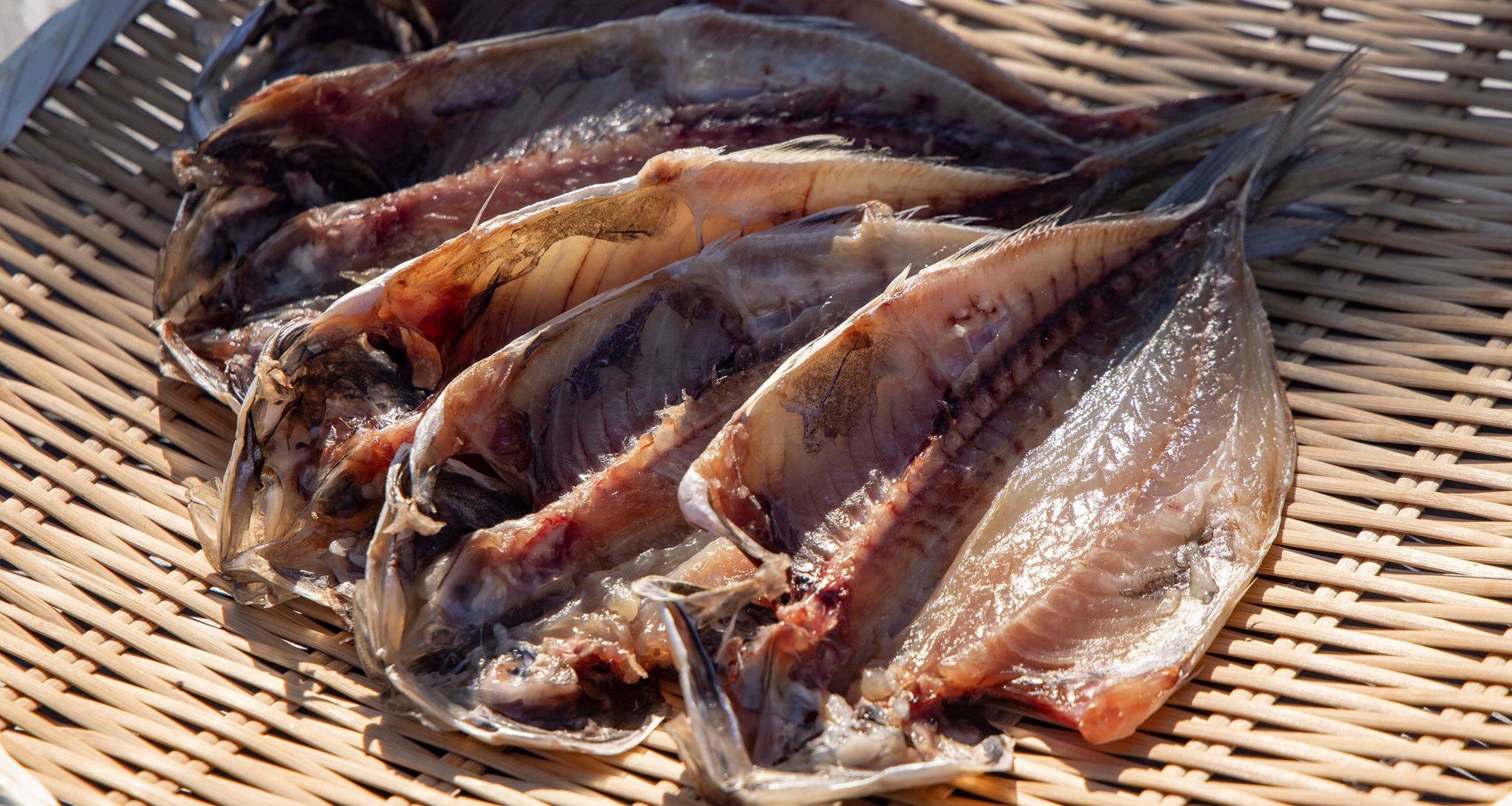 刺身より旨い干物をつくる！〜「島源商店」干物修業体験記〜