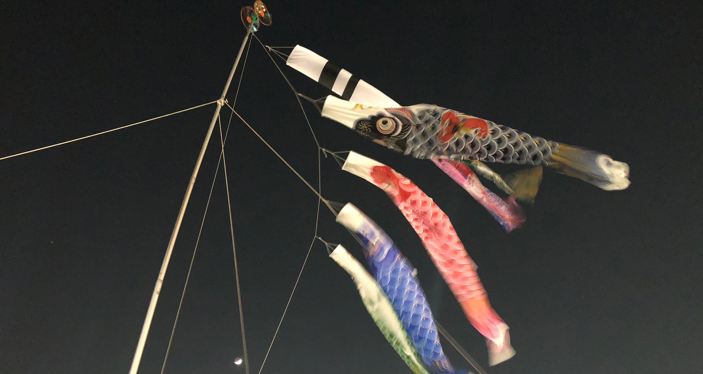 大森さんの写真