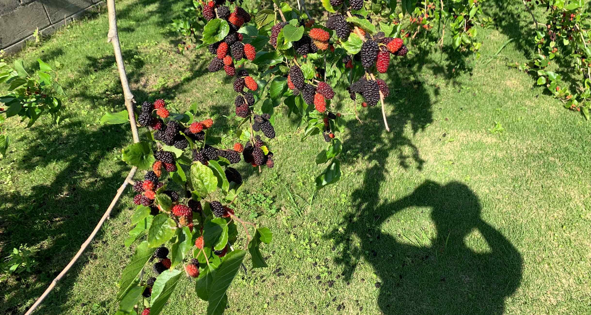 大森さんの写真