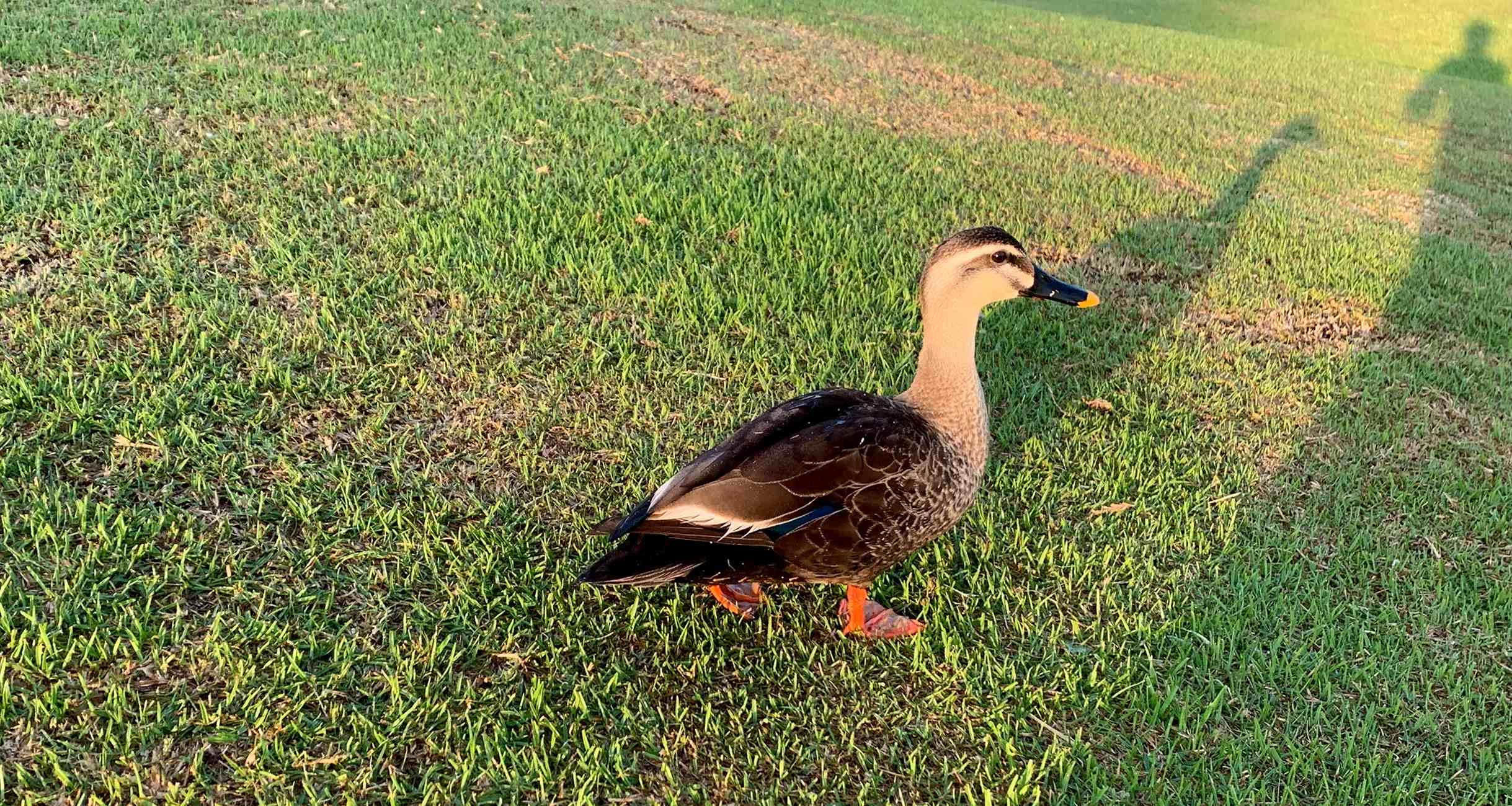 大森さんの写真