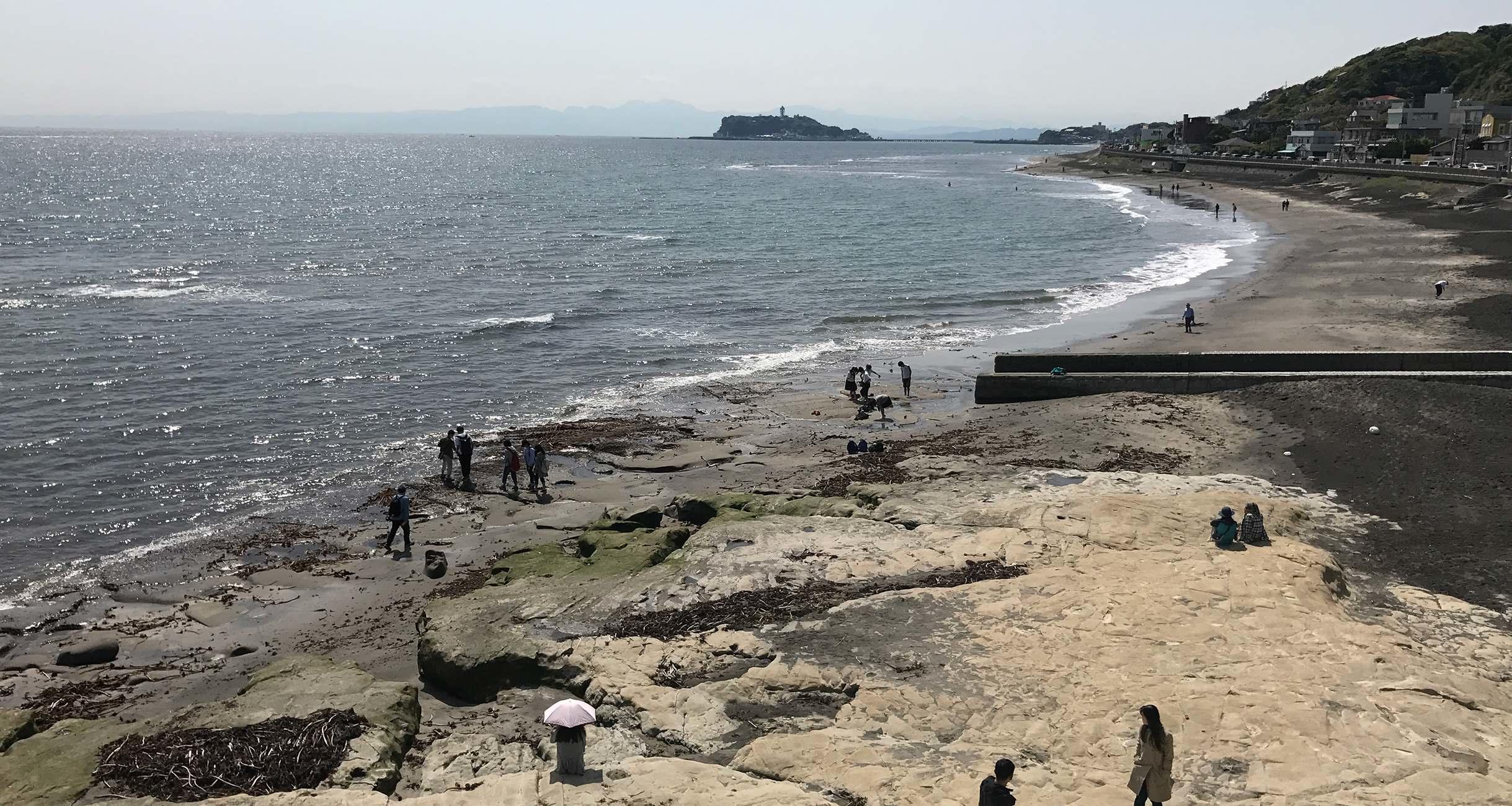 大森さんの写真