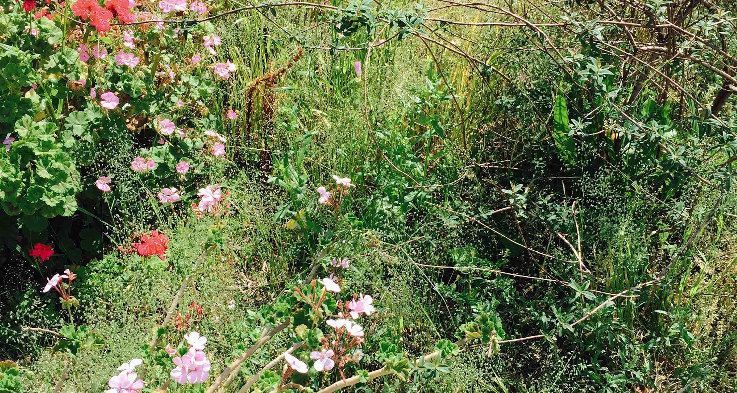 大森さんの写真