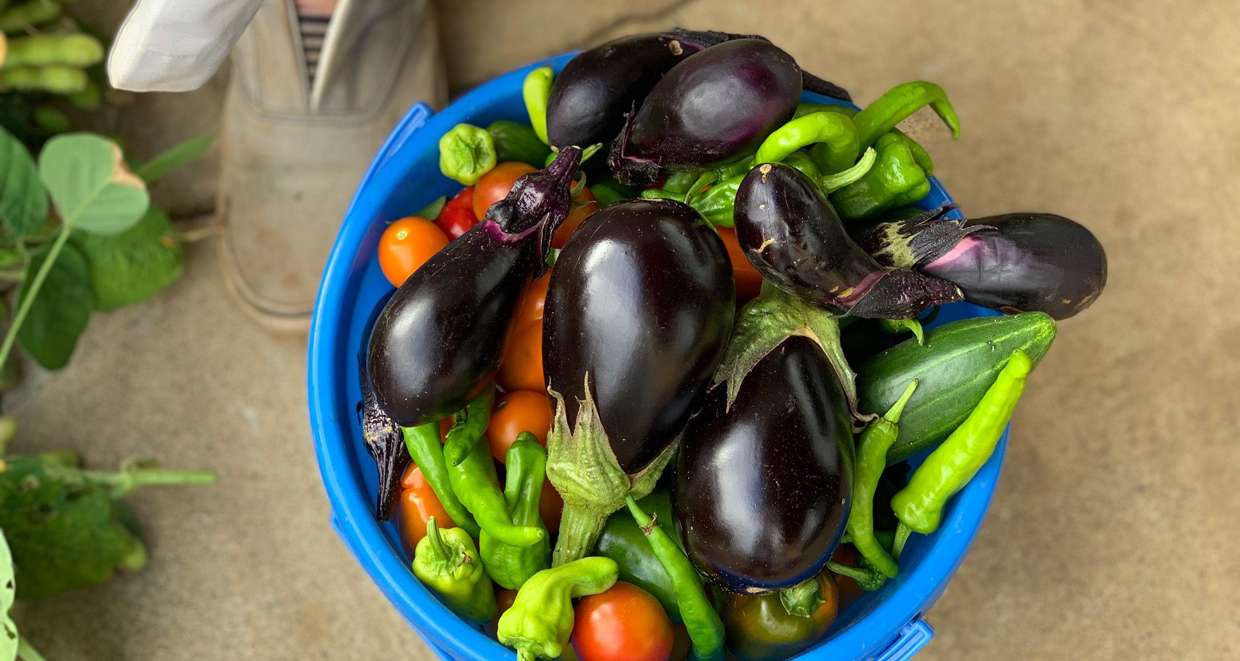 大森さんの写真