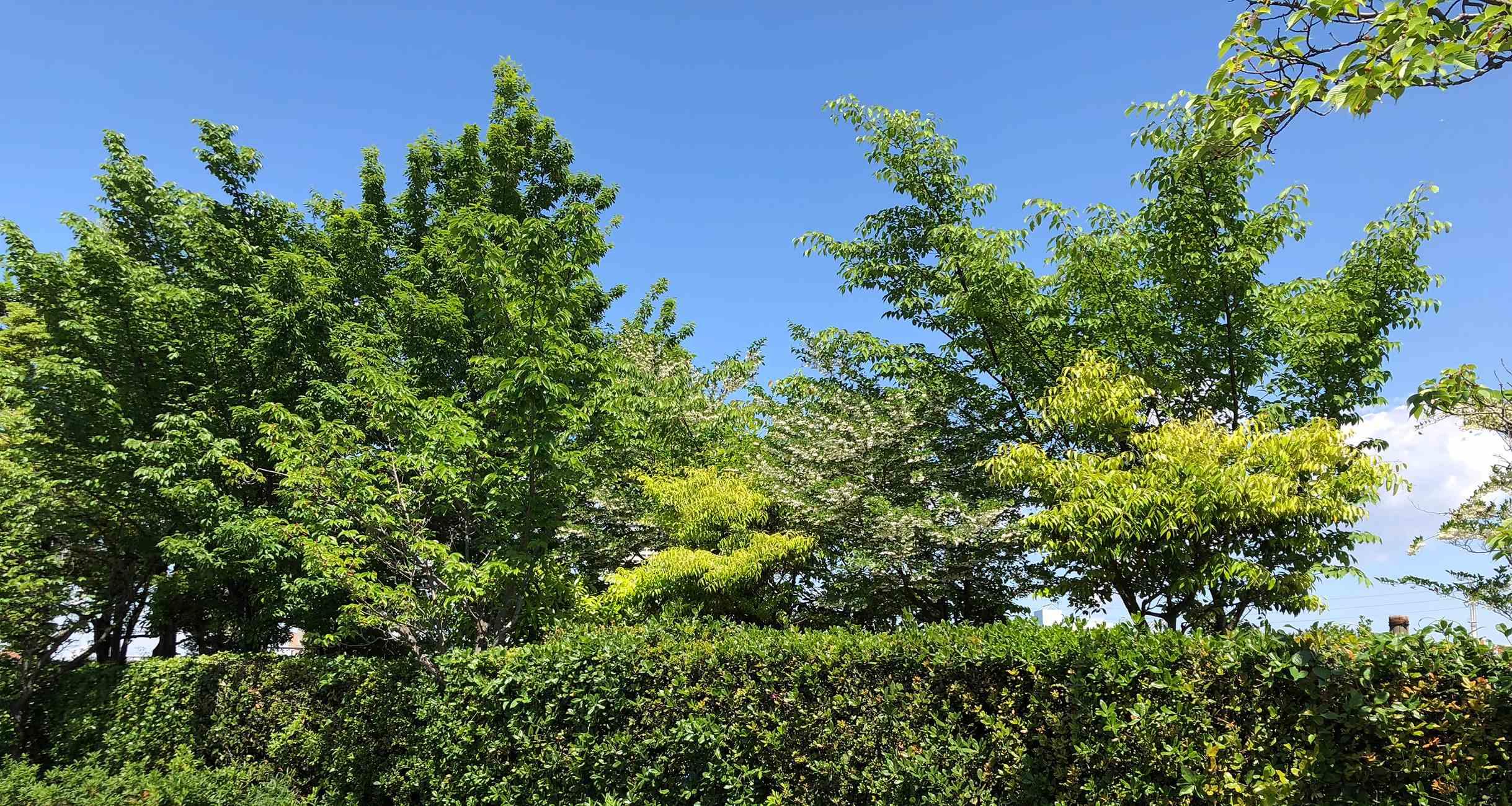 大森さんの写真