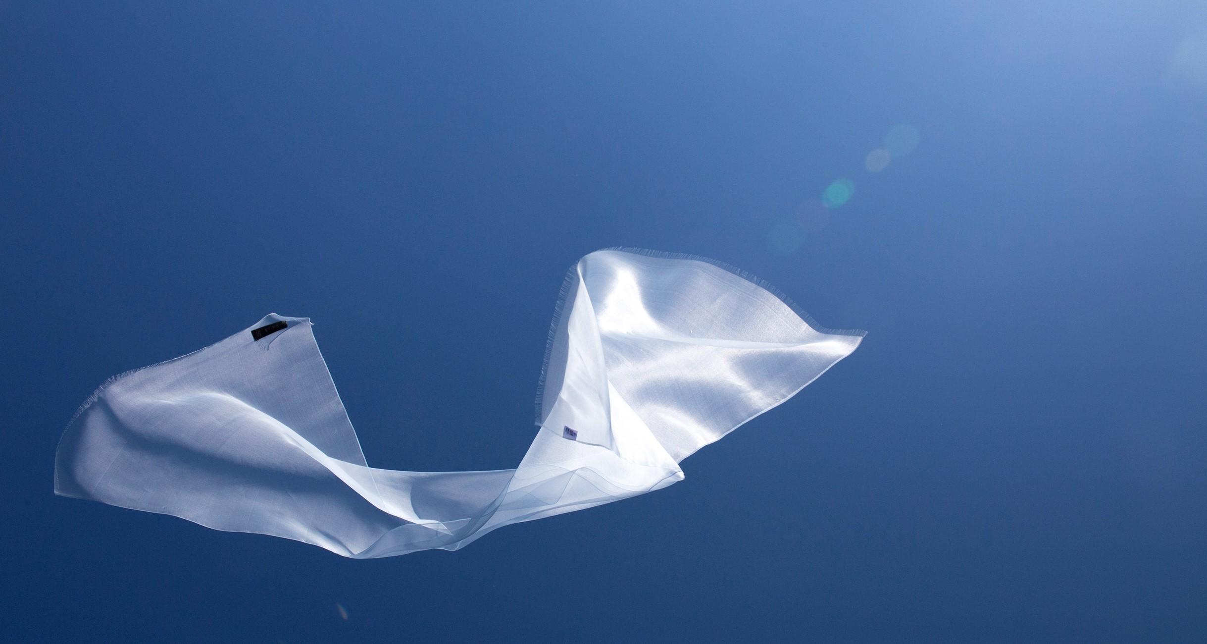 大森さんの写真