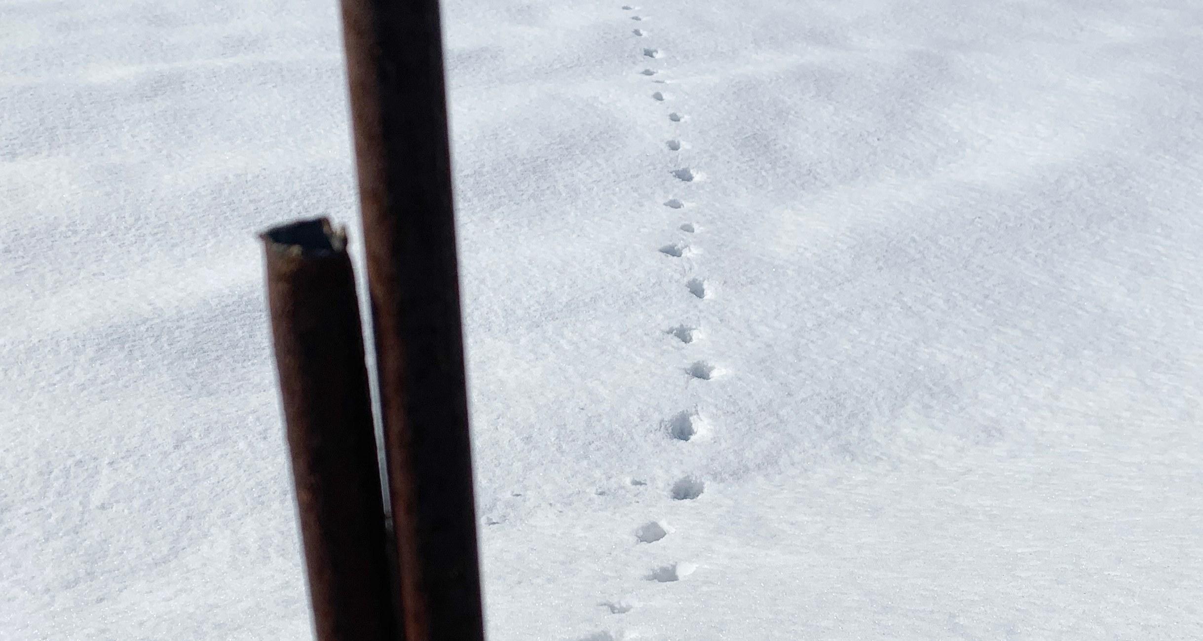 大森さんの写真