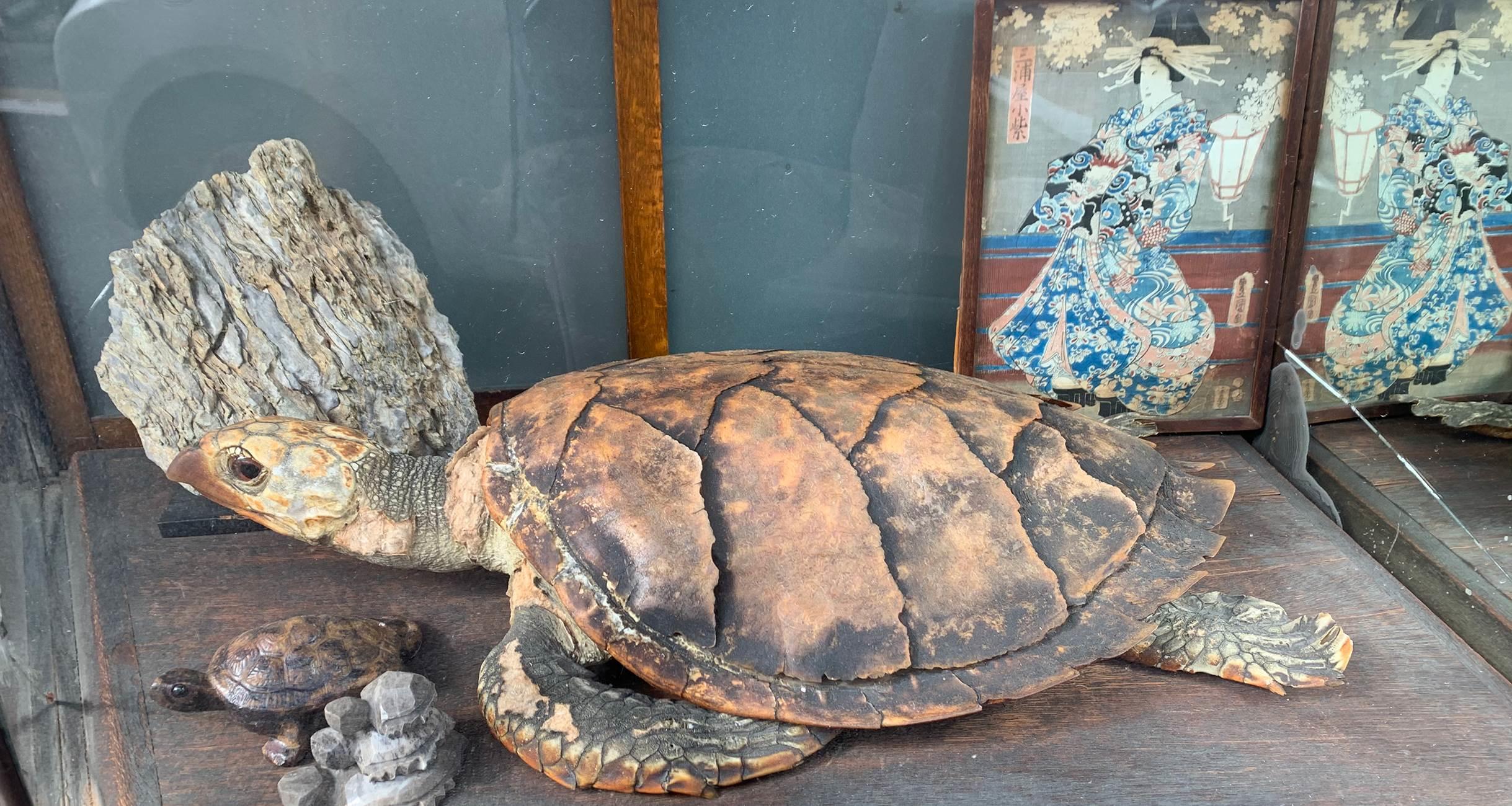 大森さんの写真