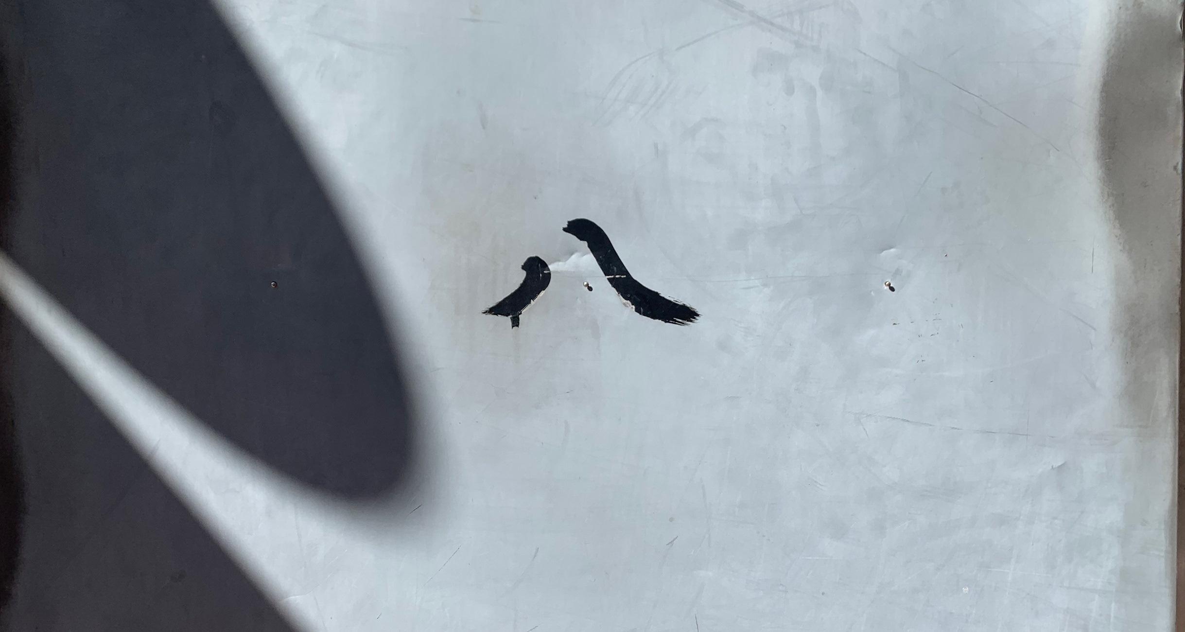 大森さんの写真