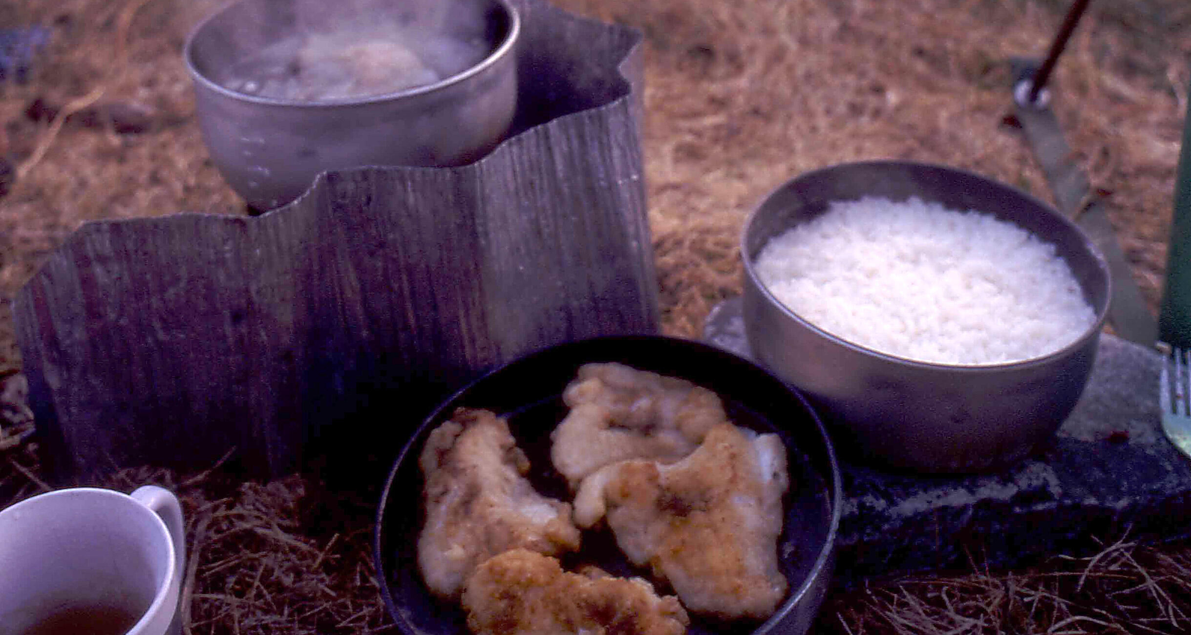 ノルウェーのフィヨルドの前でつくったタラのソテーとサバの潮汁