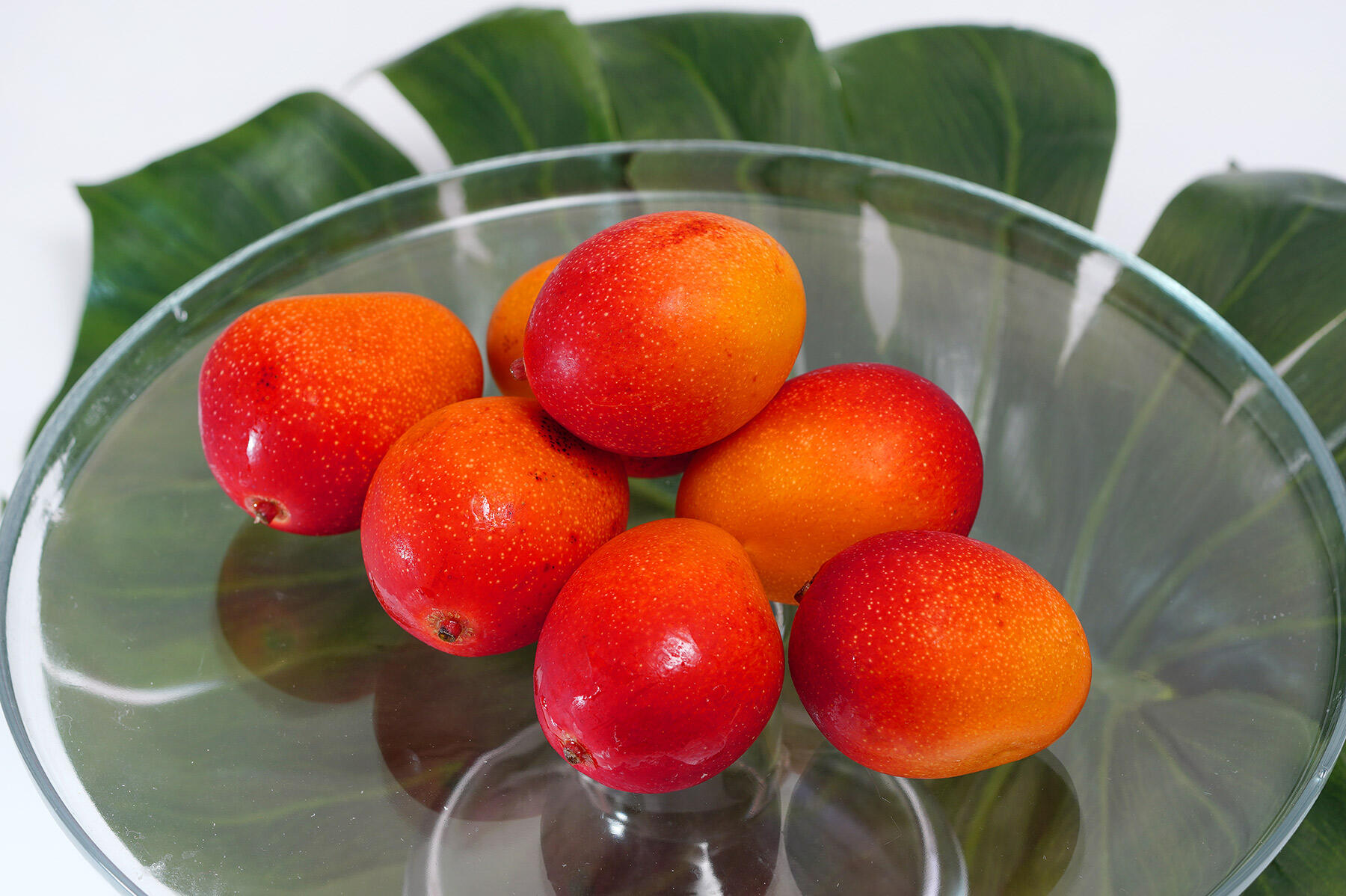 みやざき完熟マンゴー『ミニミニマンゴー』