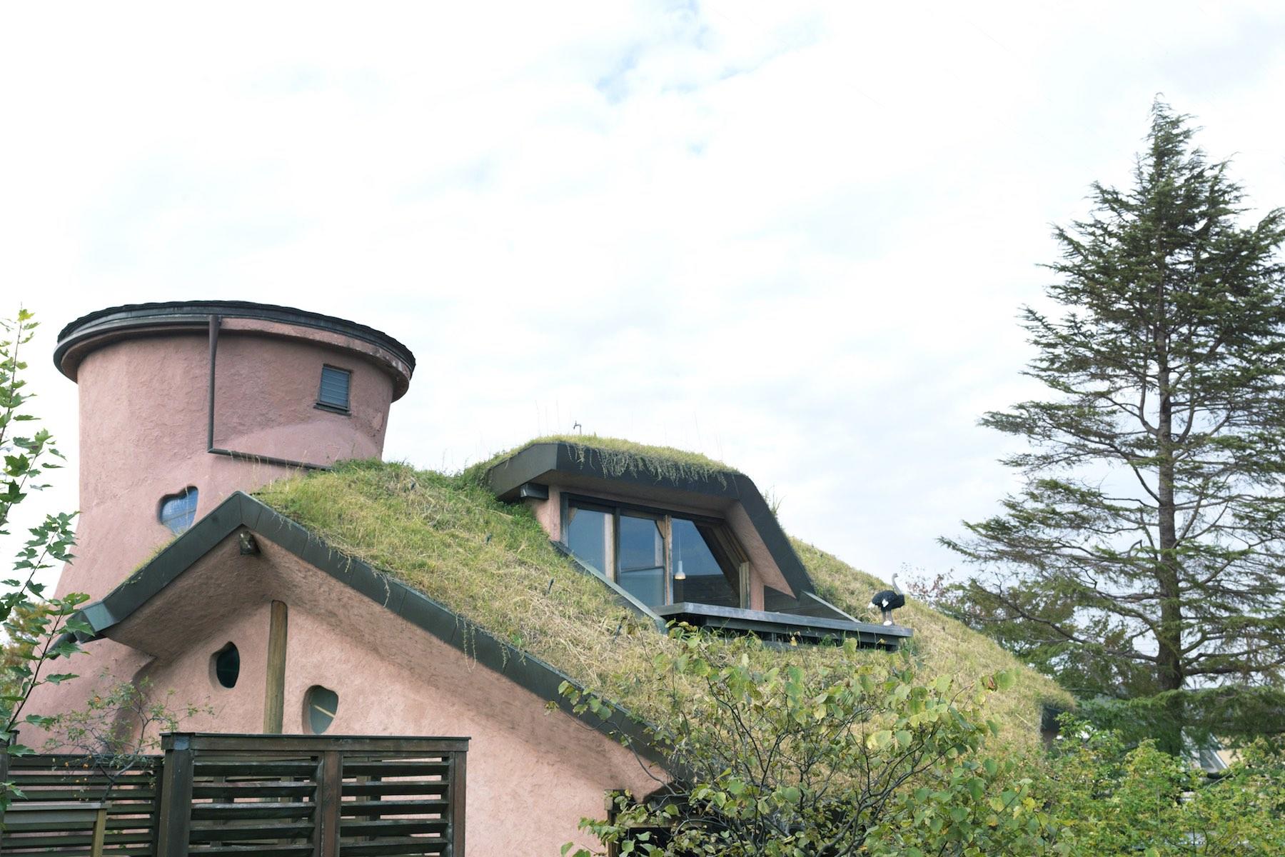 緑に覆われた屋根と土壁でつくられた店舗には、焼きたての菓子の香りが漂う。まるで、童話の世界を訪ねた気分。