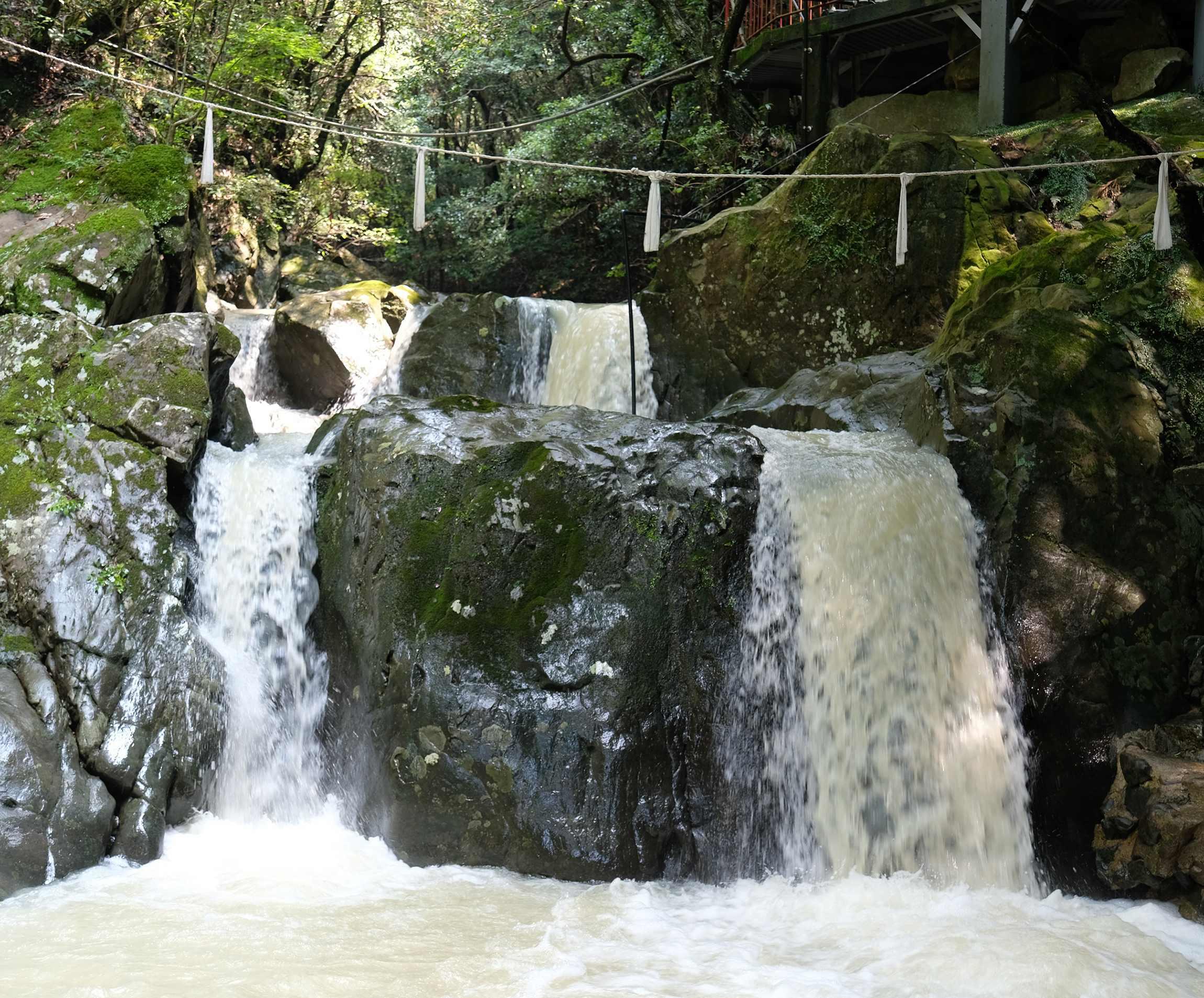 井賀孝さんの青春18きっぷ旅。台風上陸のまっただ中に里帰り。