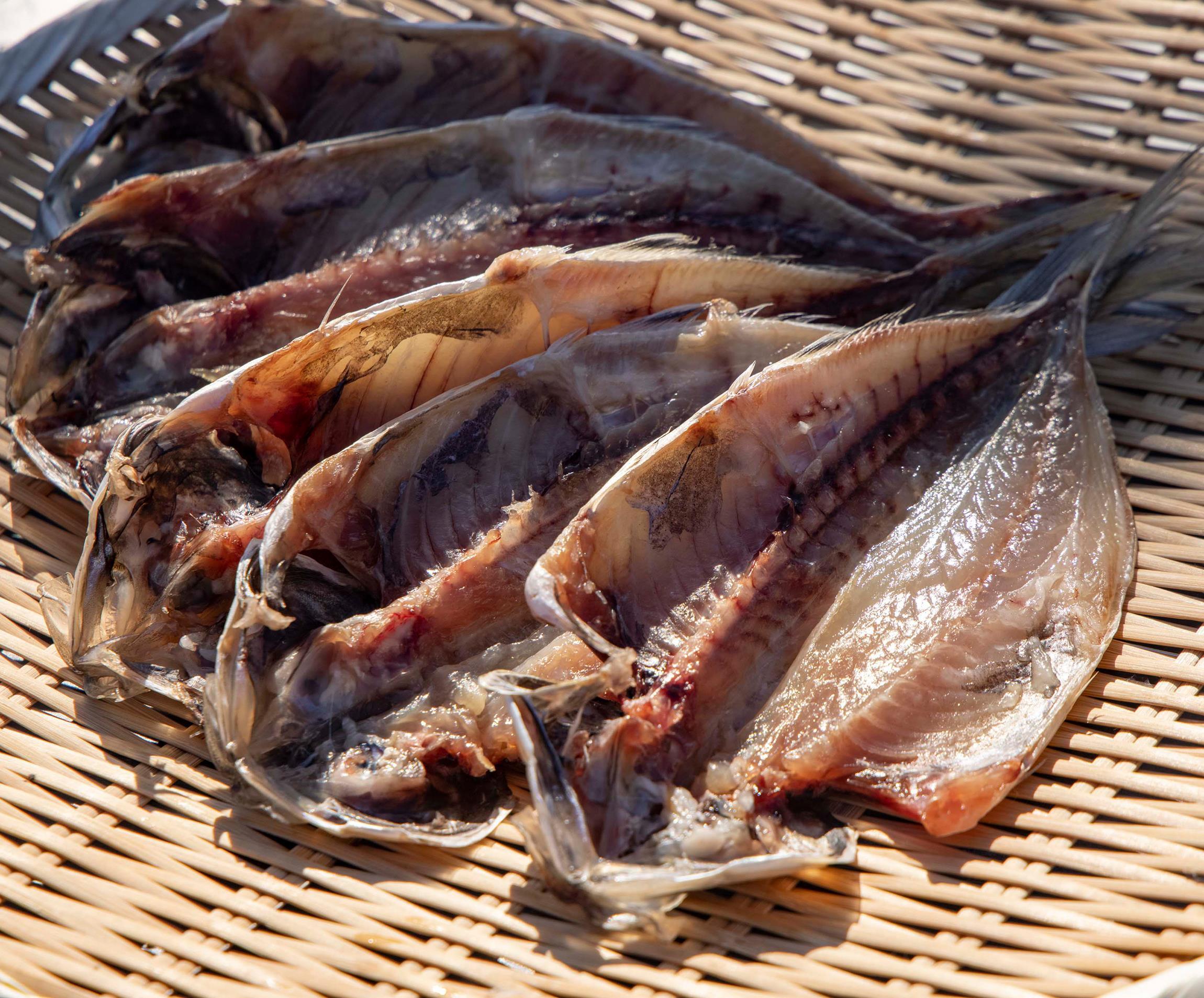 刺身より旨い干物をつくる！〜「島源商店」干物修業体験記〜