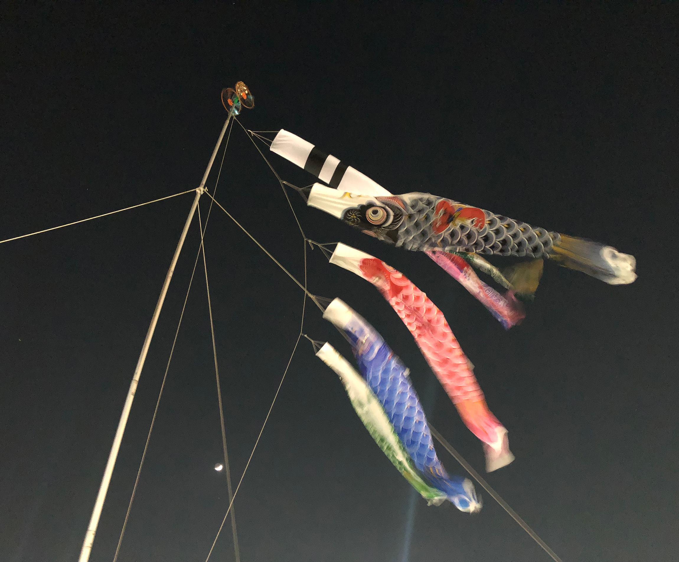 大森さんの写真