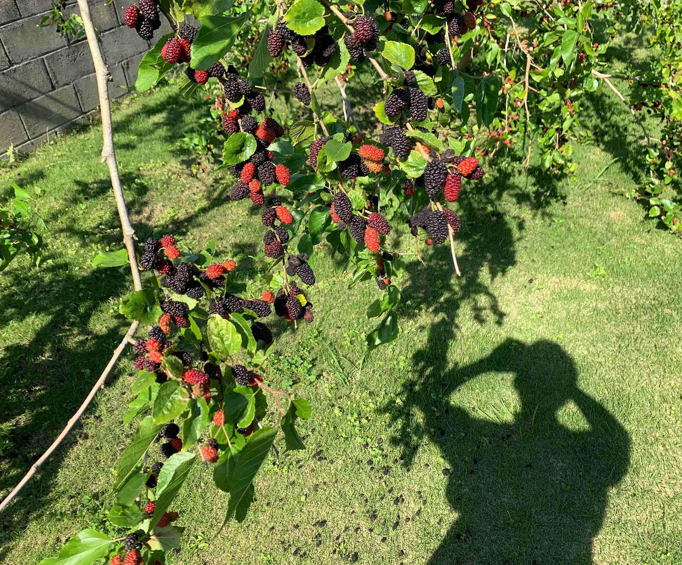 大森さんの写真