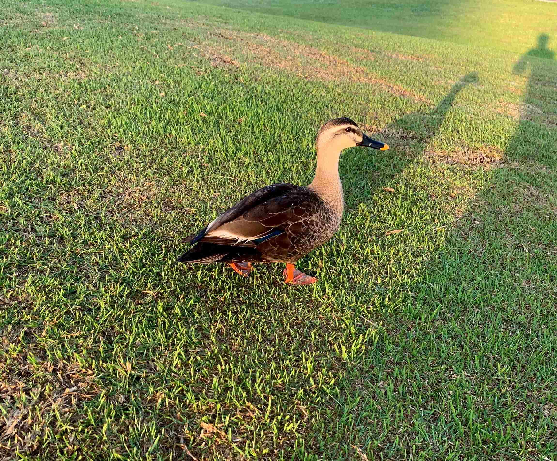 大森さんの写真