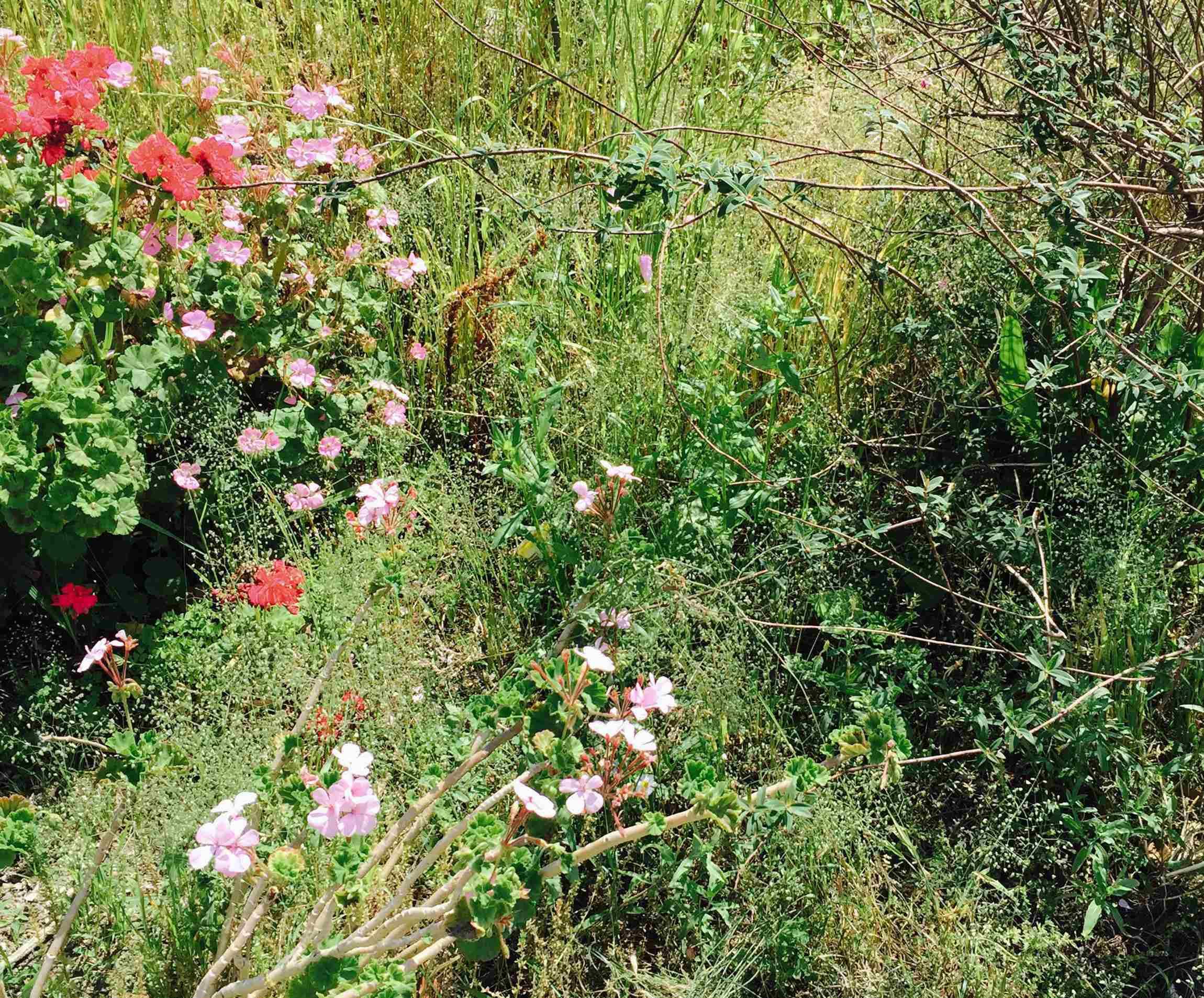 大森さんの写真