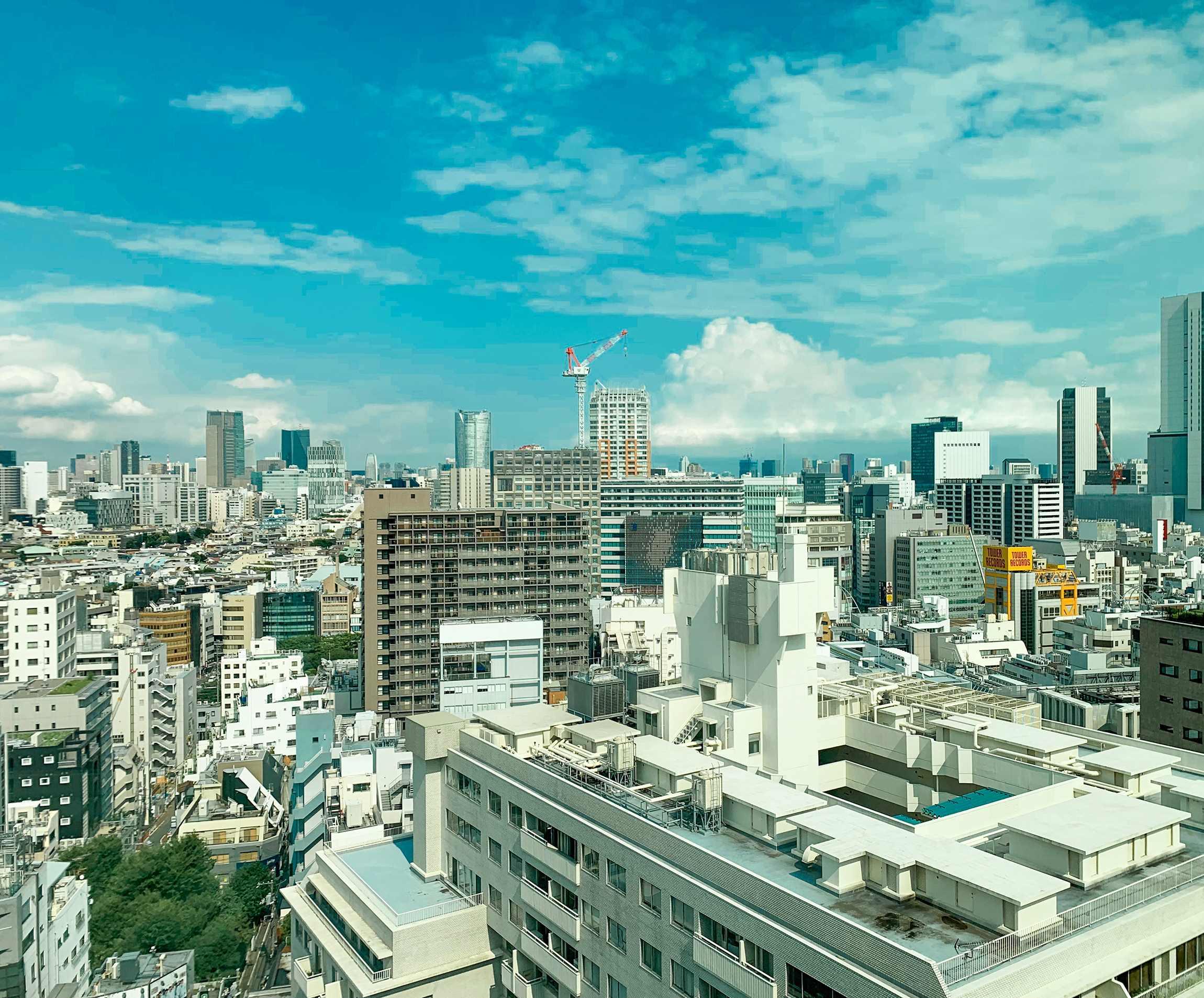 大森さんの写真