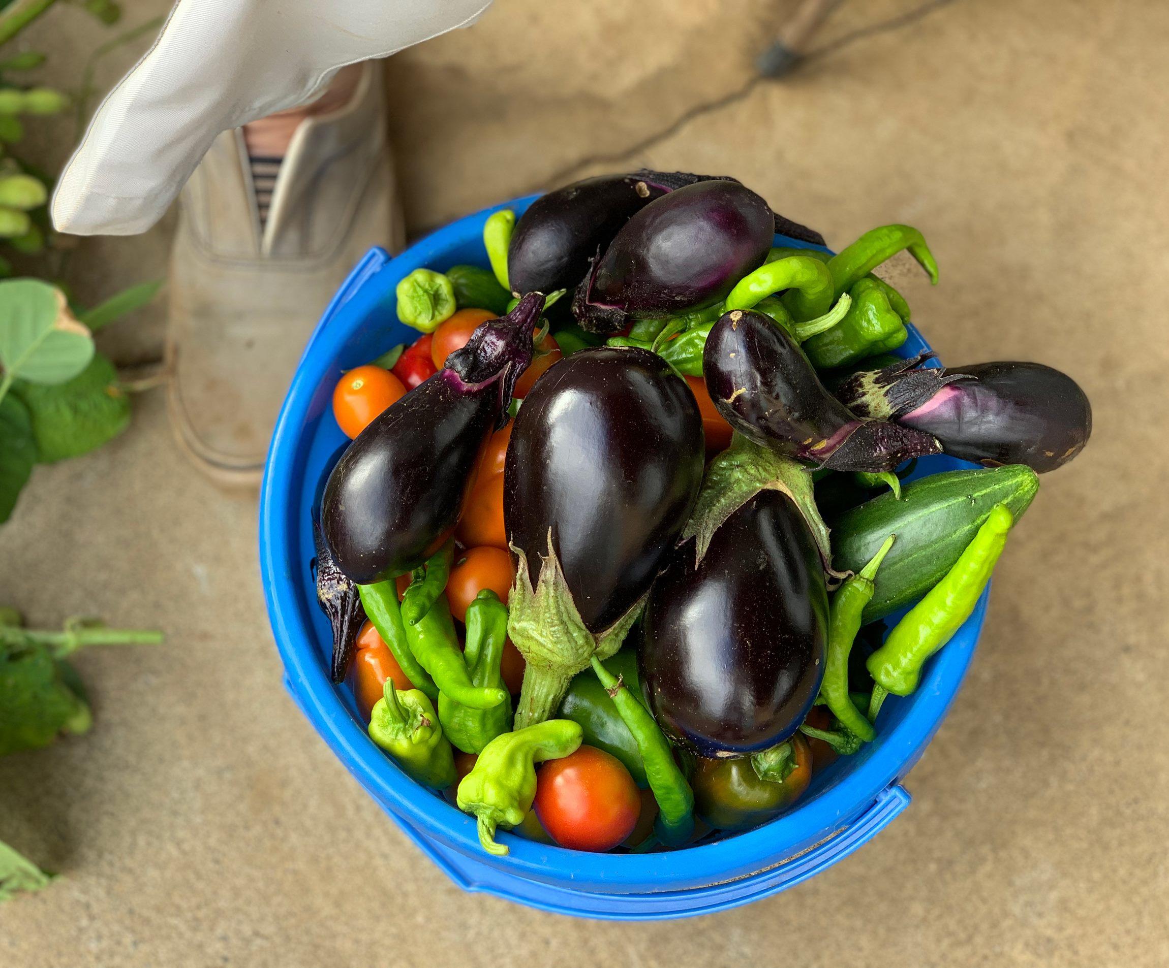 大森さんの写真