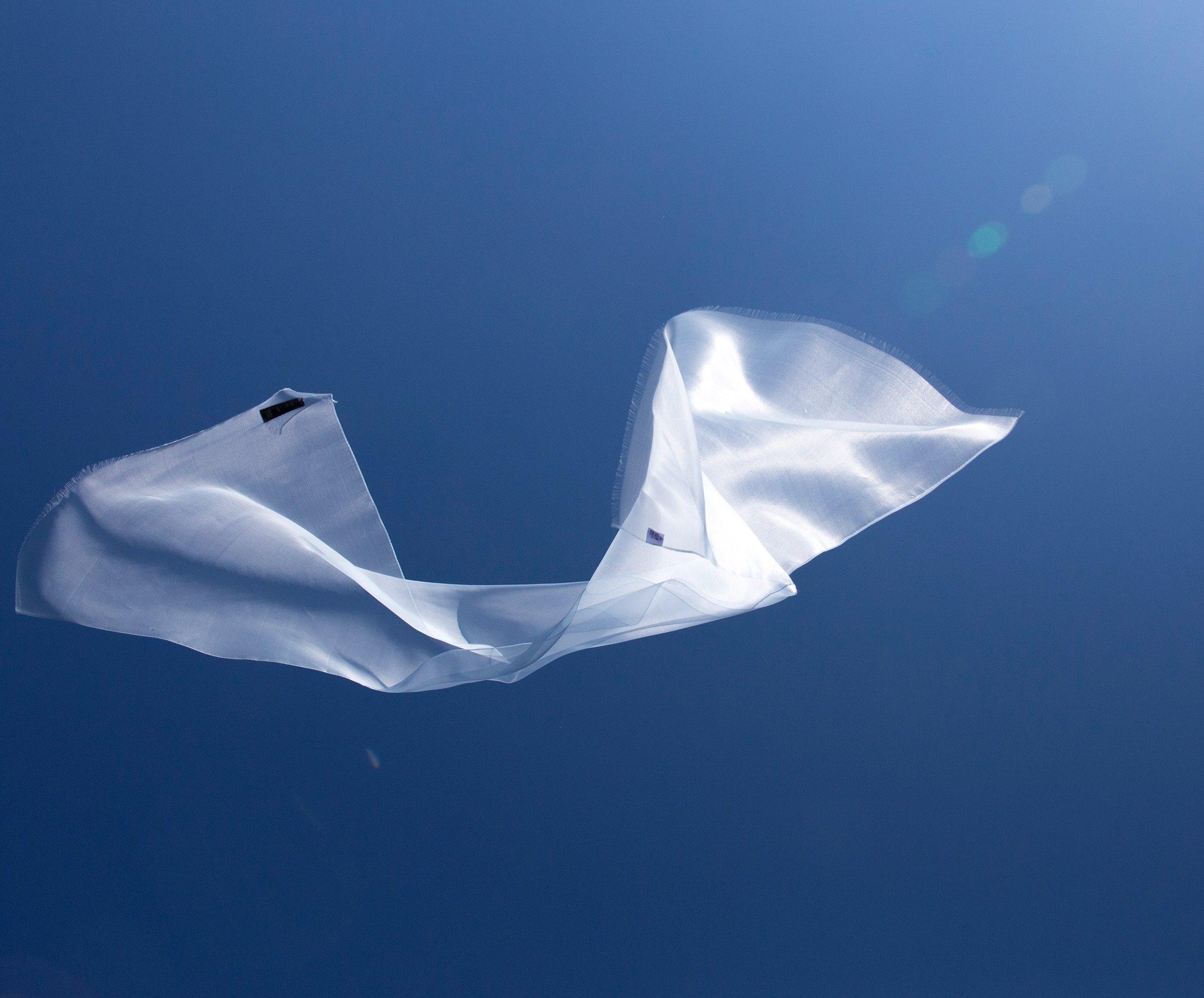 大森さんの写真