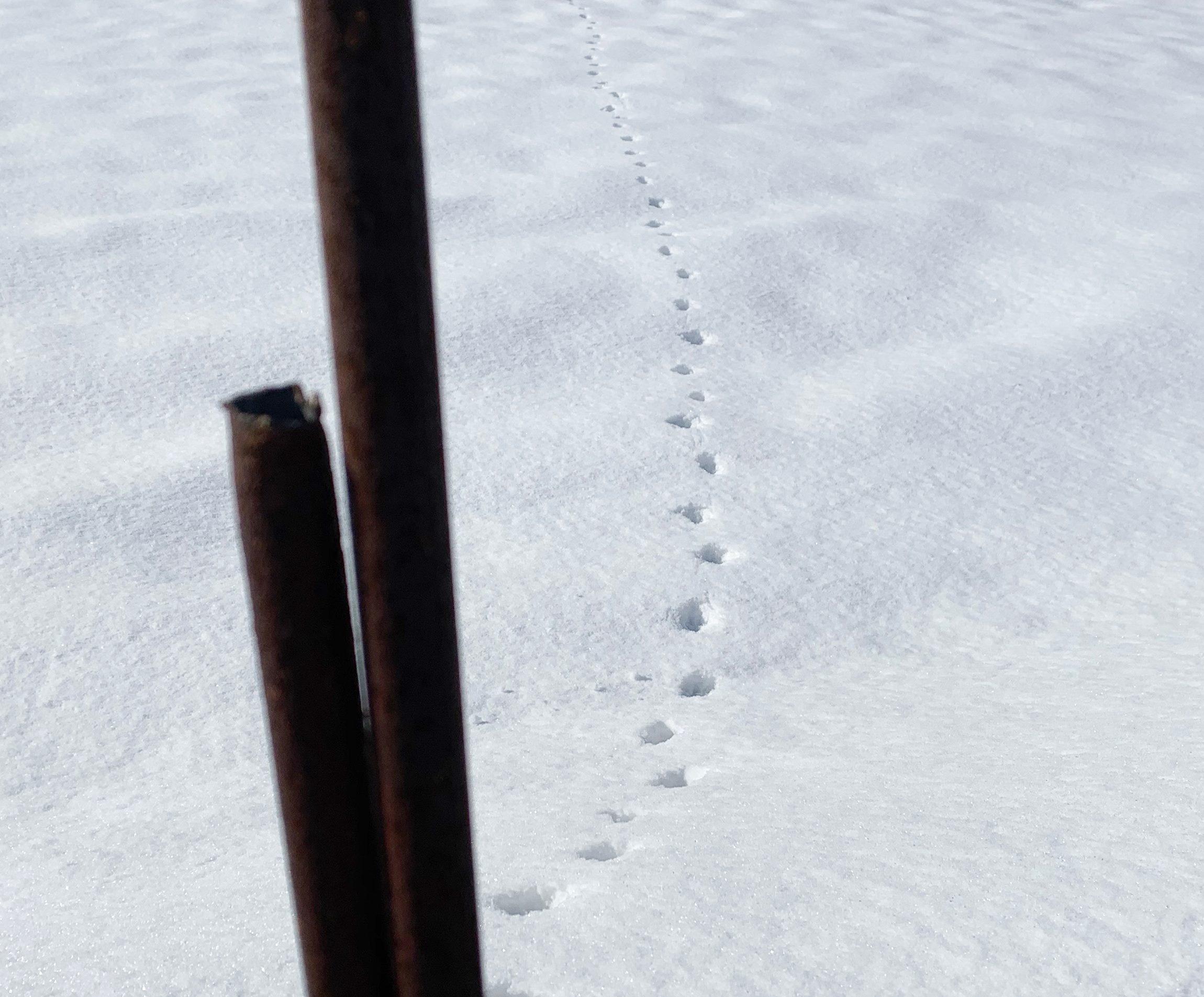大森さんの写真