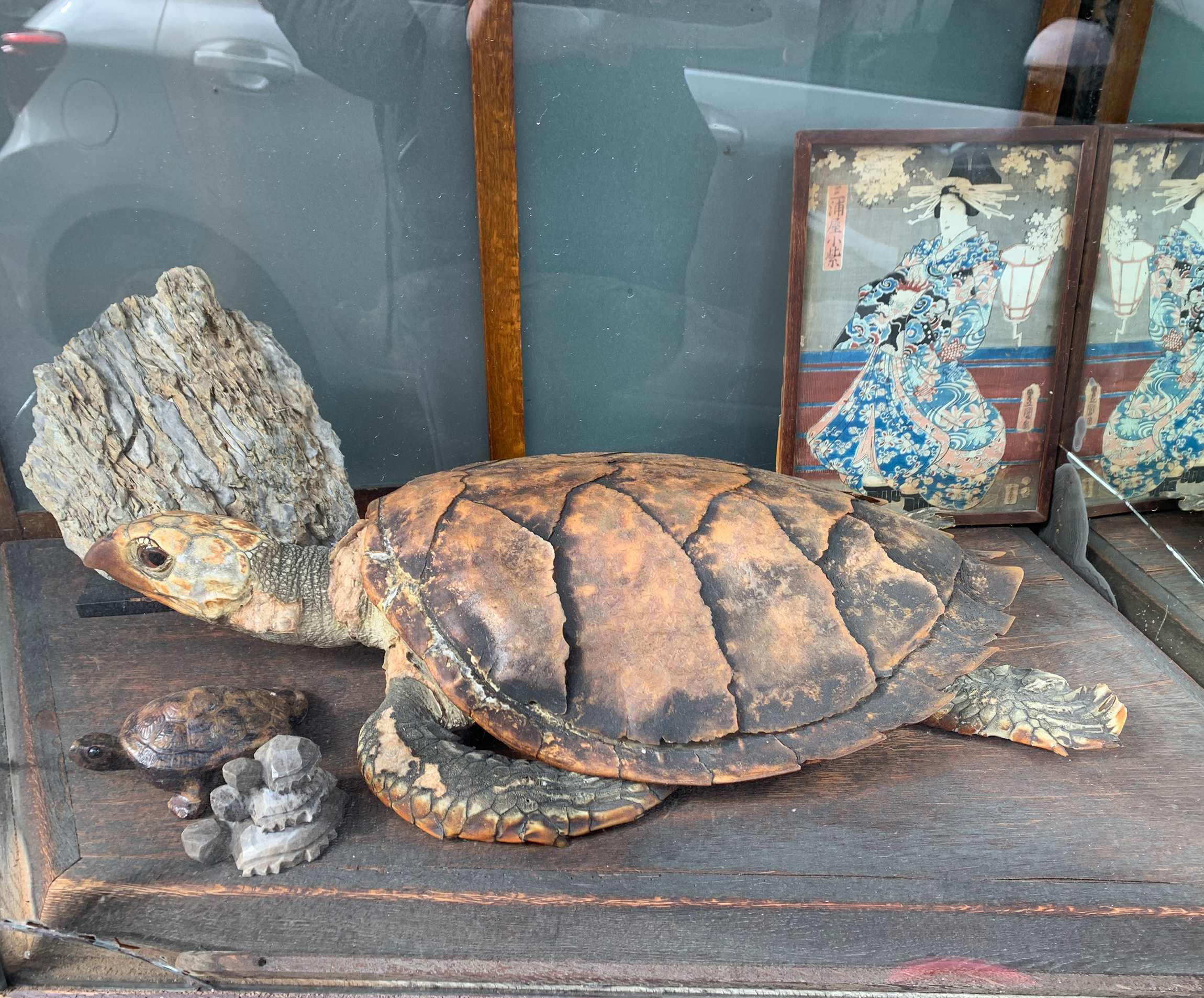 大森さんの写真