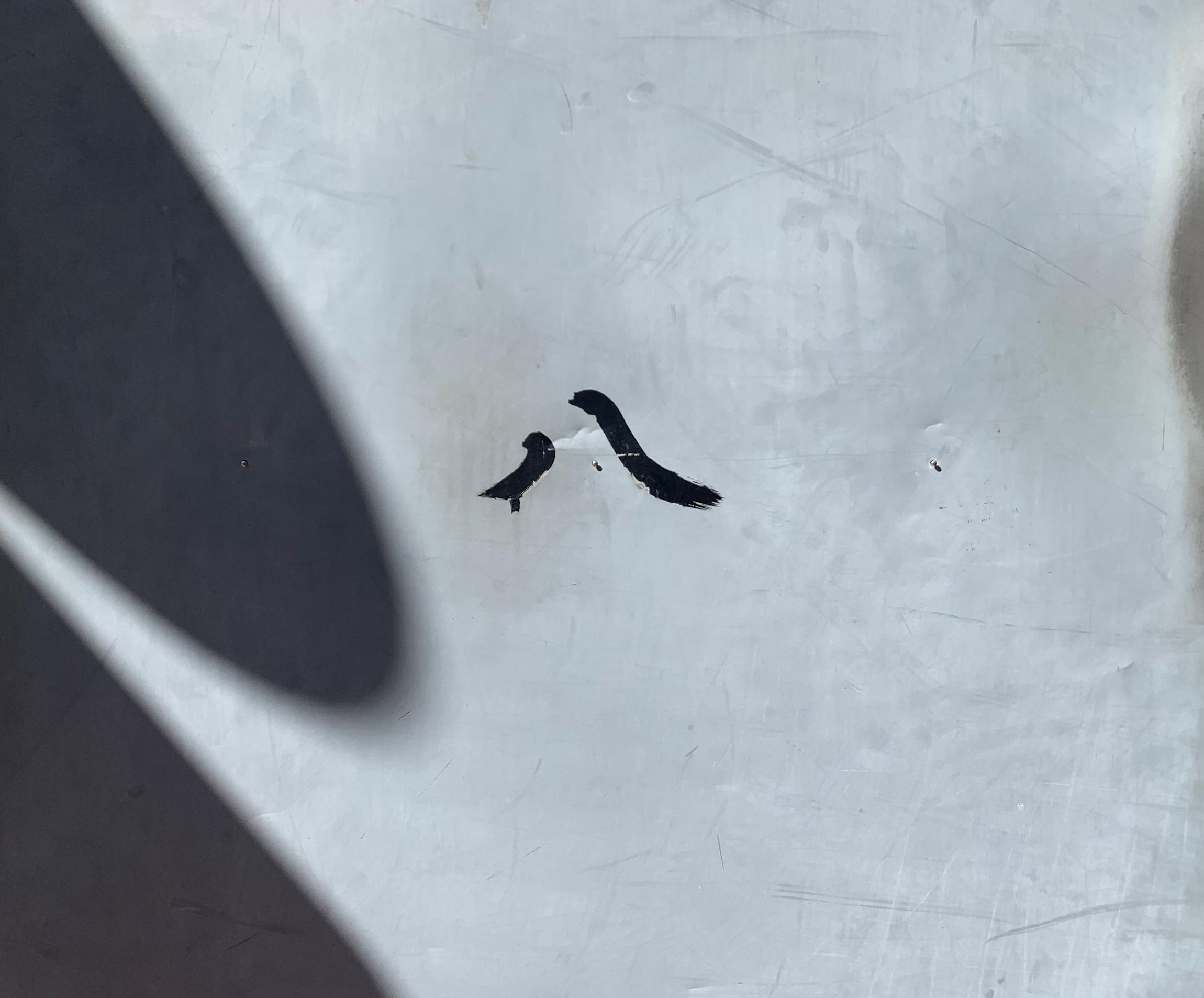 大森さんの写真