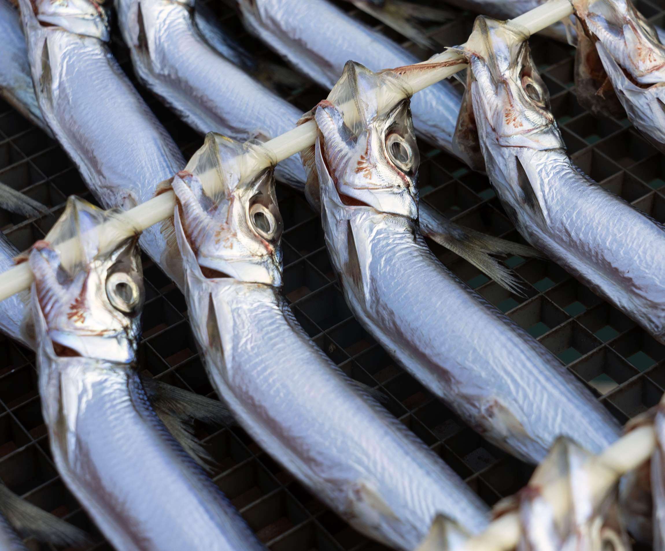 うるめいわしの丸干し