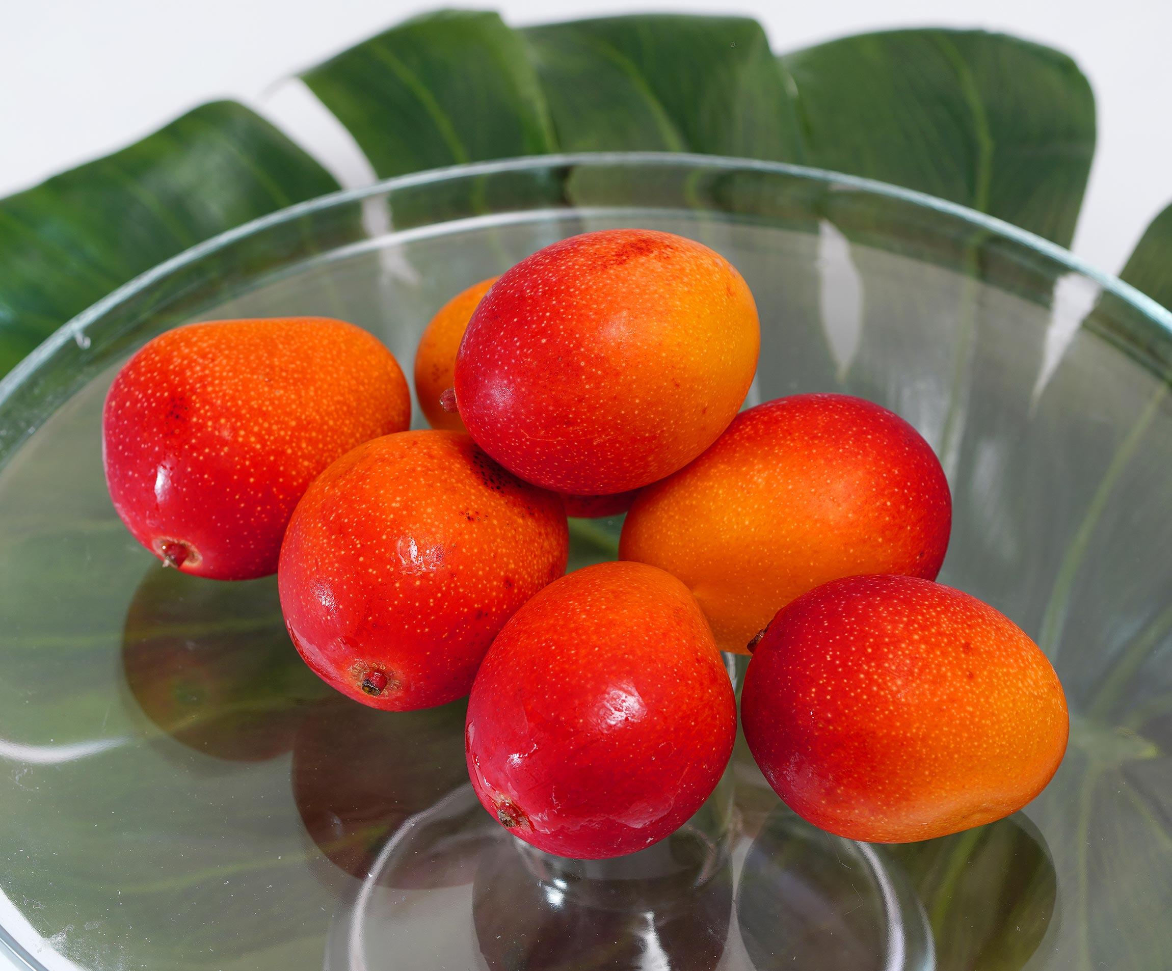 みやざき完熟ミニミニマンゴー