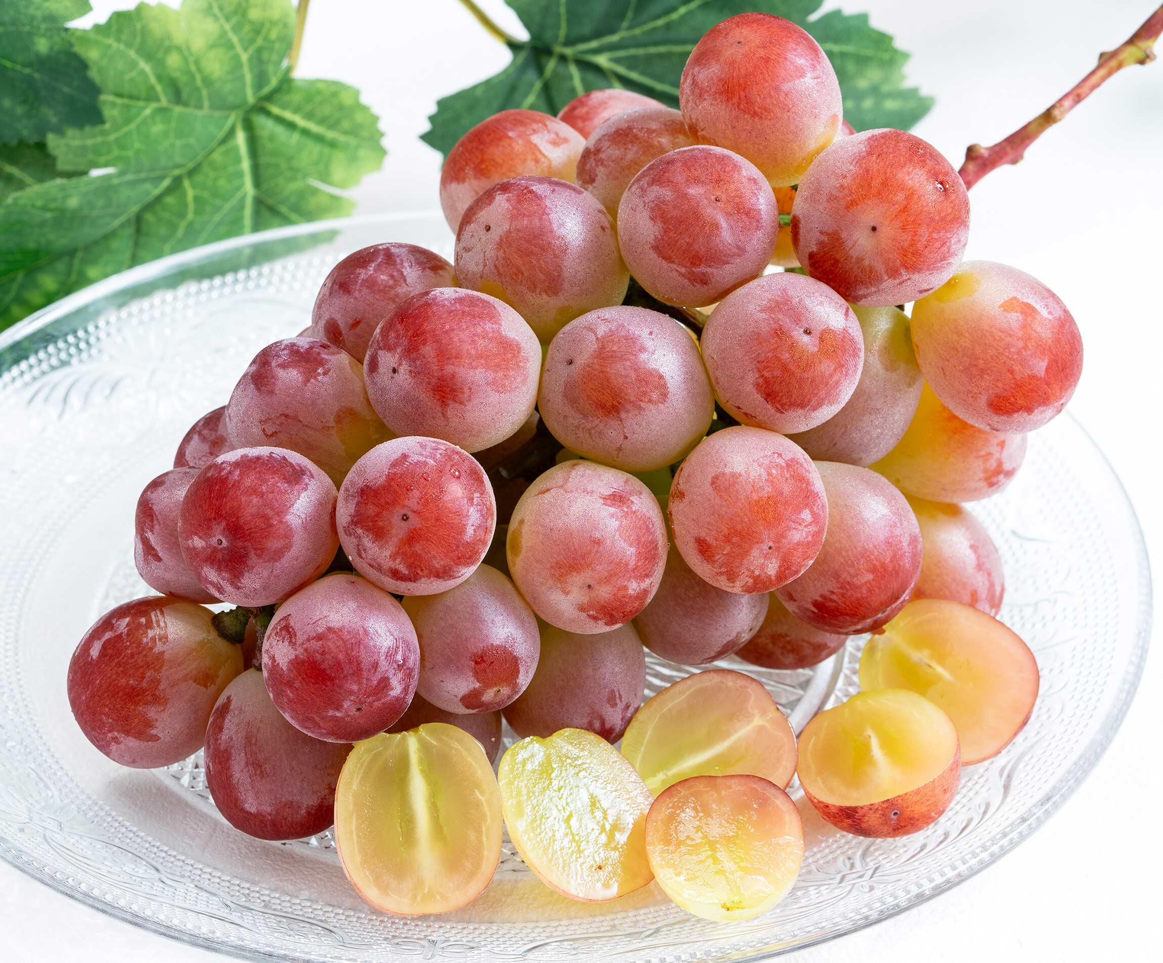 サンシャインレッド