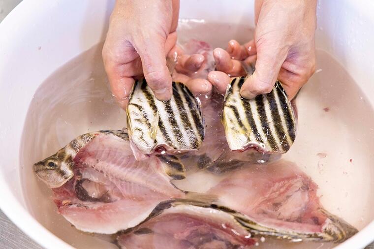 【見た目の衝撃を裏切る究極の脂のり！】「カゴカキダイ」を皮やウロコがパリパリと香ばしい、極上の干物にする