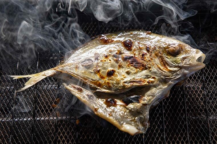 シマアジ超えの旨さ!?稀少な高級魚「カイワリ」でつくる干物は極上の酒肴