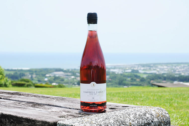 食用ぶどうで世界品質のワインをつくるワイナリー。