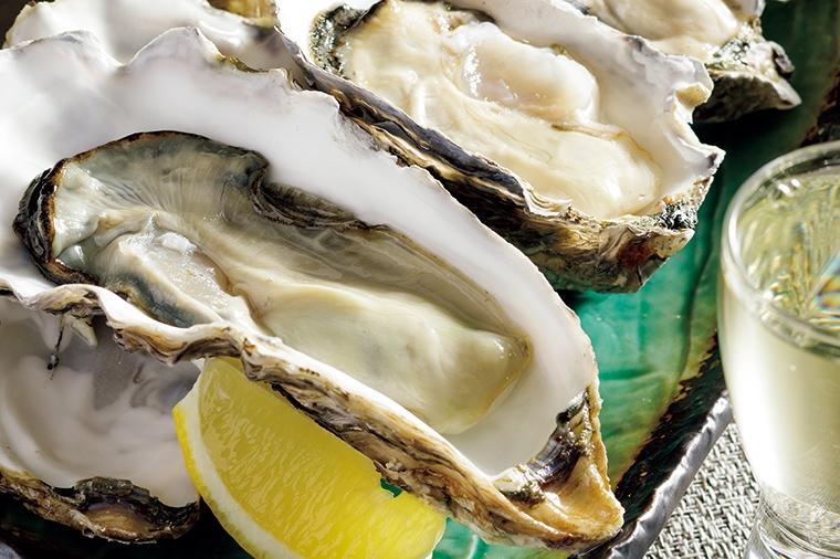 初心者にやさしい