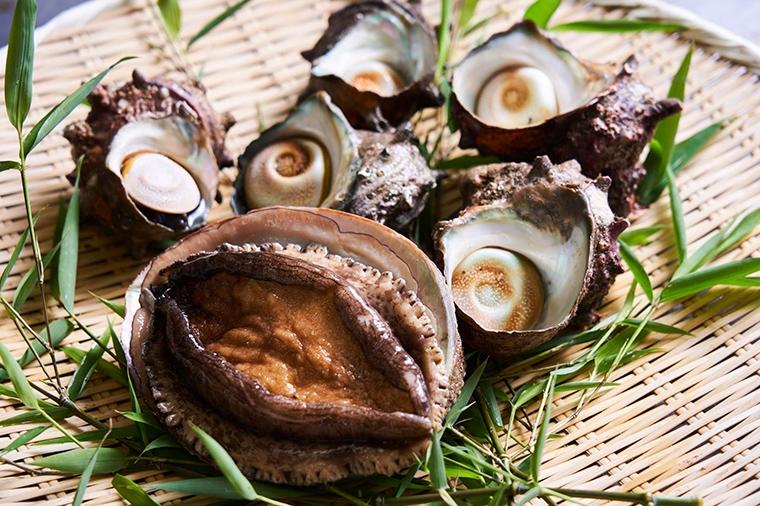 「いずみや鮮魚店」のアワビとサザエ｜千葉の生産者を応援します①