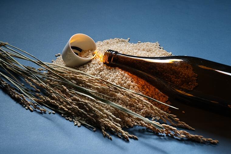 日本酒ビギナーのための酒米講座【後編】～酒米はどのようにしてつくられるのか？