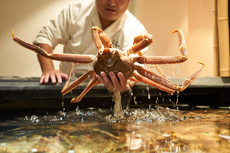 知って味わう「越前がに」と福井のソウルフード「ソースカツ丼」。